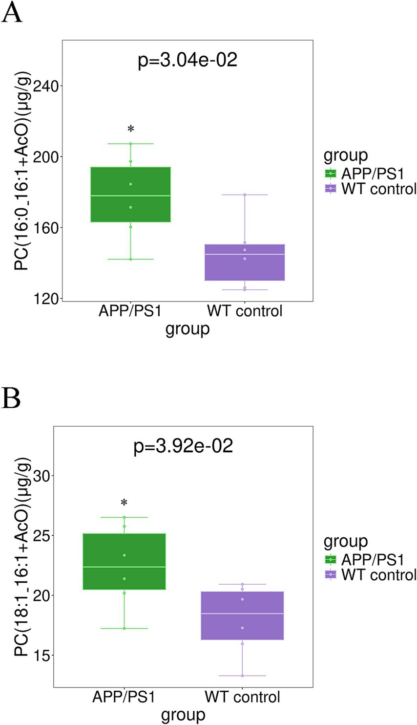 Box plots labeled A and B compare APP/PS1 and WT control groups. Plot A shows PC(16:0_16:1+AcO) and plot B shows PC(18:1_16:1+AcO) levels, both in micrograms per gram with significant differences (p=3.04e-02 and p=3.92e-02, respectively). Green represents APP/PS1, and purple represents WT control.