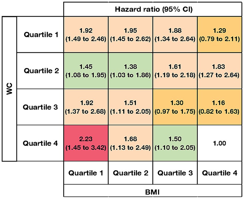 Heatmap showing hazard ratios with 95% confidence intervals in a matrix of waist circumference (WC) and body mass index (BMI) quartiles. Colors indicate varying levels of risk: red for the highest risk, followed by orange, green, and white for the lowest. Quartile four of WC and quartile one of BMI shows the highest hazard ratio of 2.23 (1.45 to 3.42), while quartile four of both WC and BMI shows the lowest of 1.00.
