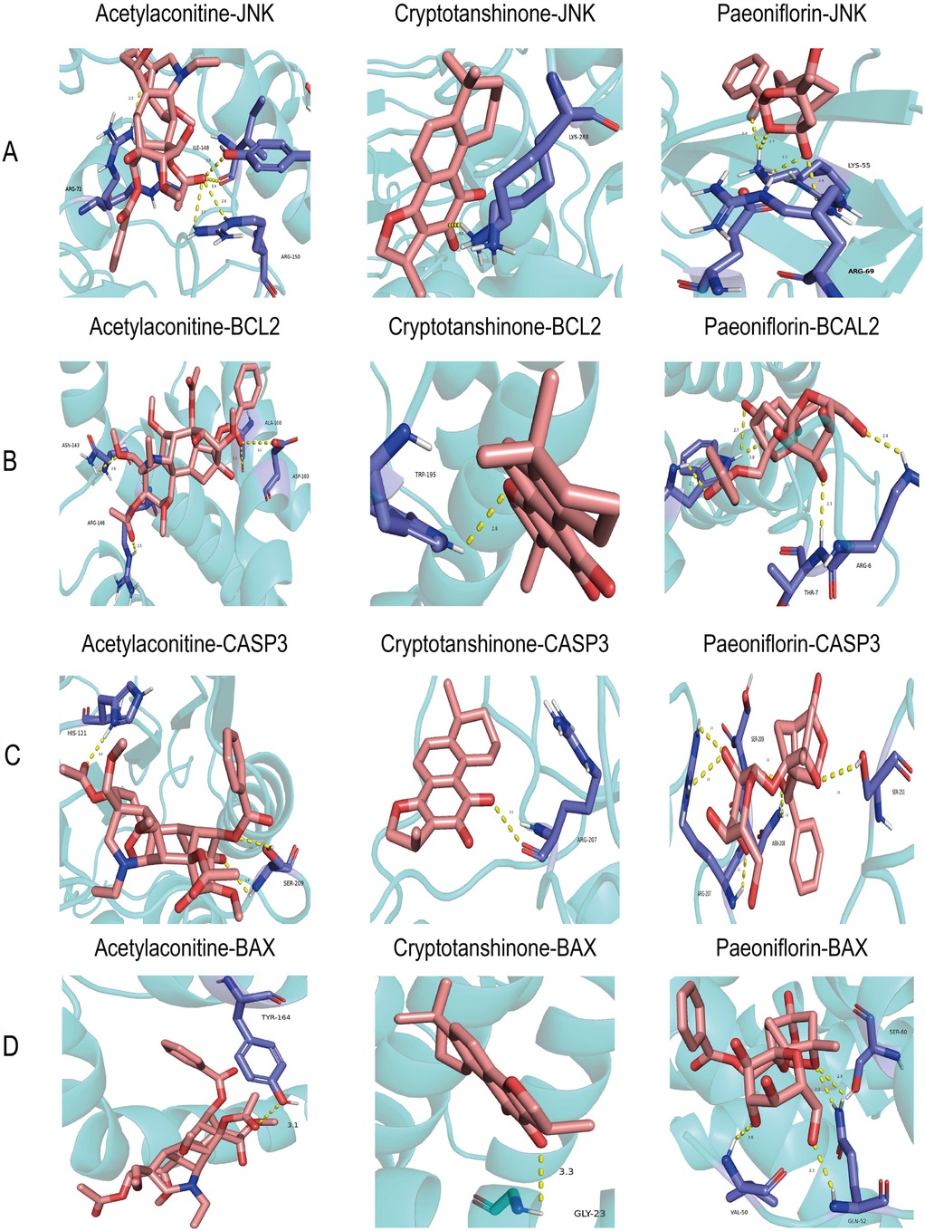 Frontiers | Mechanism of Ershen Zhenwu Decoction in