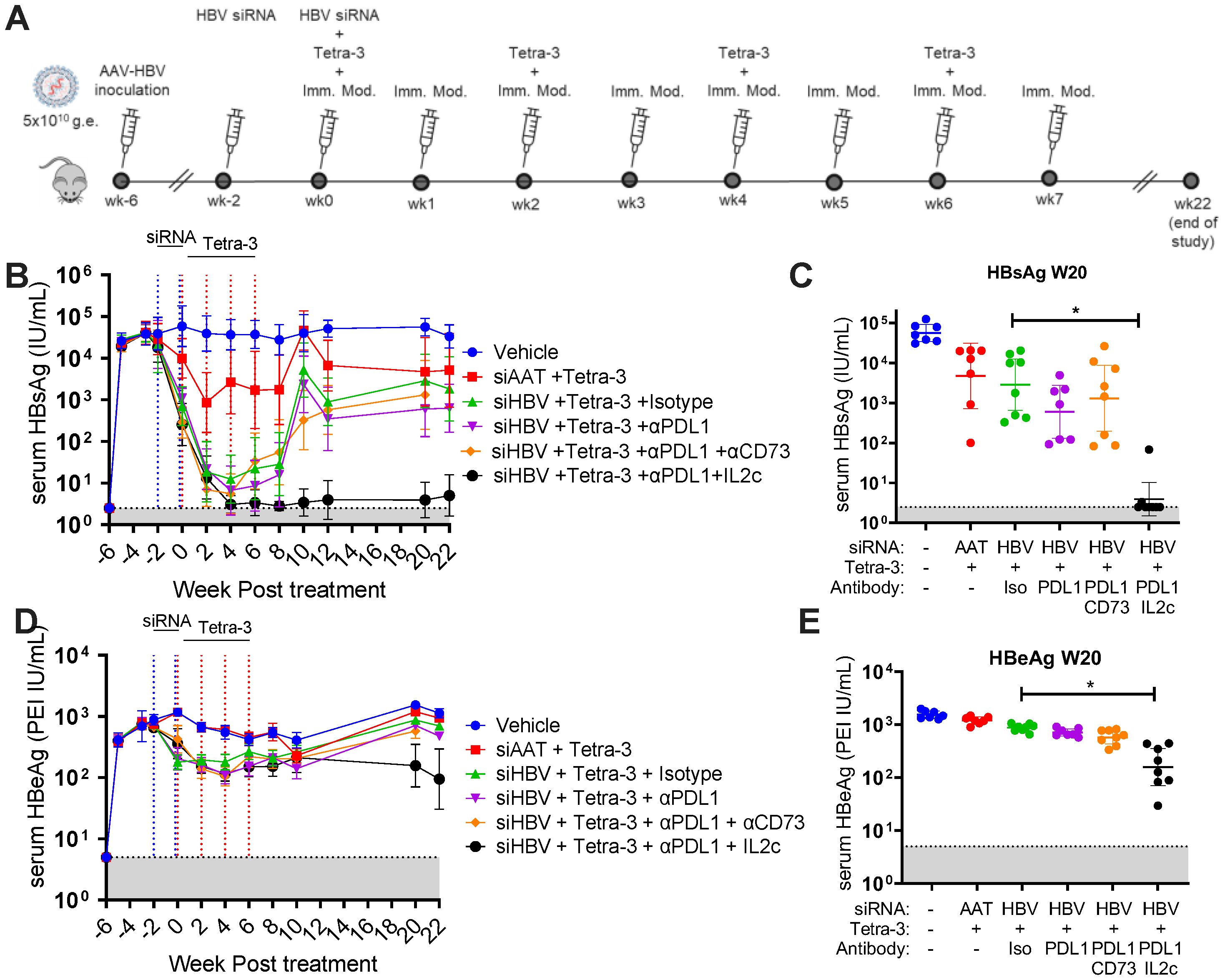 Diagram displays a study on HBV treatment with multiple components: (A) Timeline of treatments at various weeks; (B, D) Line graphs showing serum levels of HBsAg and HBeAg over weeks post-treatment with various interventions; (C, E) Bar graphs comparing serum levels at week 20 under different conditions. Treatment groups include combinations of Tetra-3, siRNA, and antibodies, with significant differences marked.