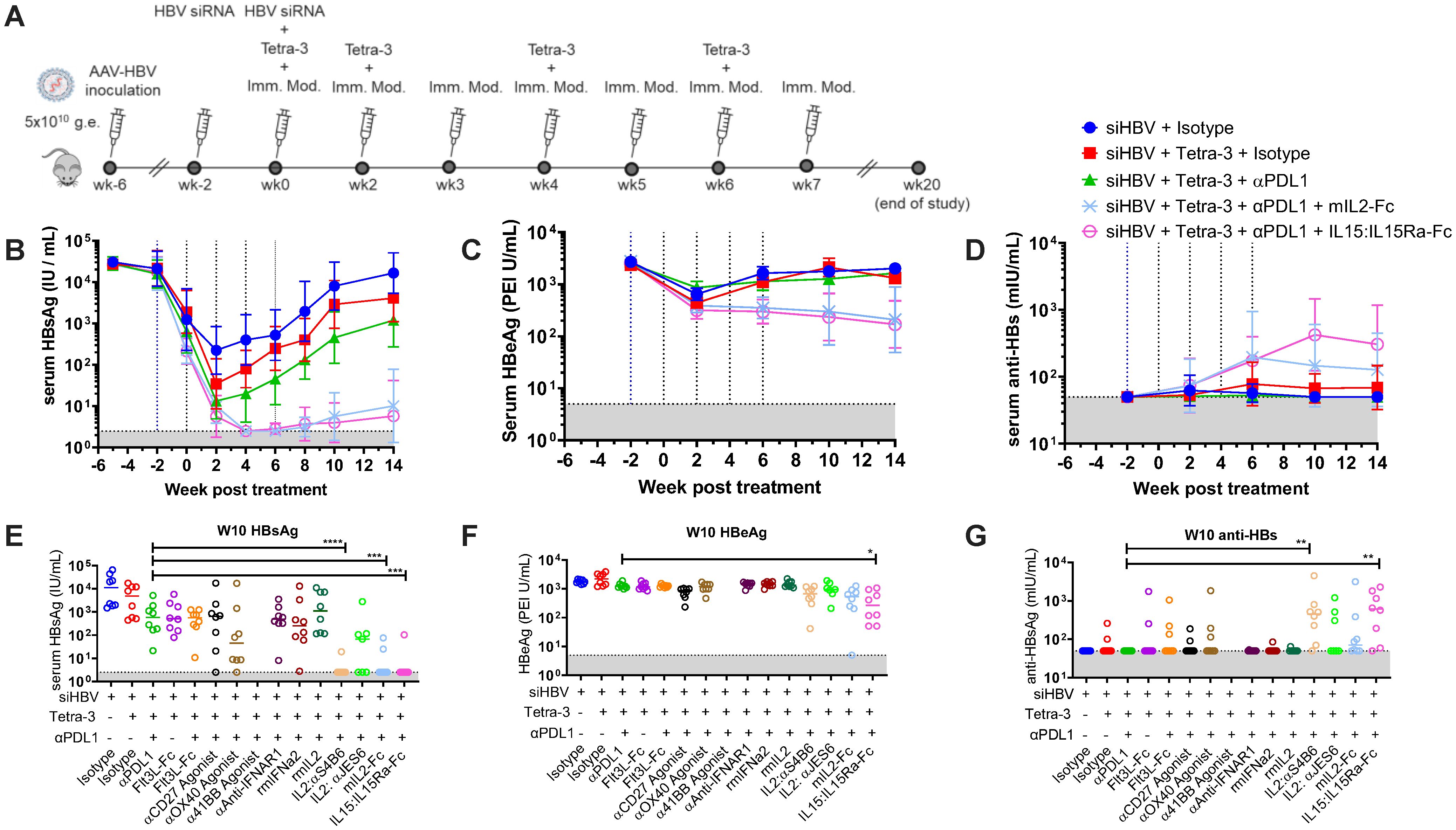 Flowchart and graphs depicting a study on HBV siRNA treatment. Panel A shows the study timeline with treatment points. Panels B, C, and D display graphs of serum HBsAg, HBeAg, and anti-HBs levels over weeks post-treatment, with various treatments indicated by color-coded lines. Panels E, F, and G compare serum levels of HBsAg, HBeAg, and anti-HBs at week 10, highlighted with scattered dots representing different treatment groups. The study evaluates different combinations of siHBV with Tetra-3, αPDL1, and other immune modulators.