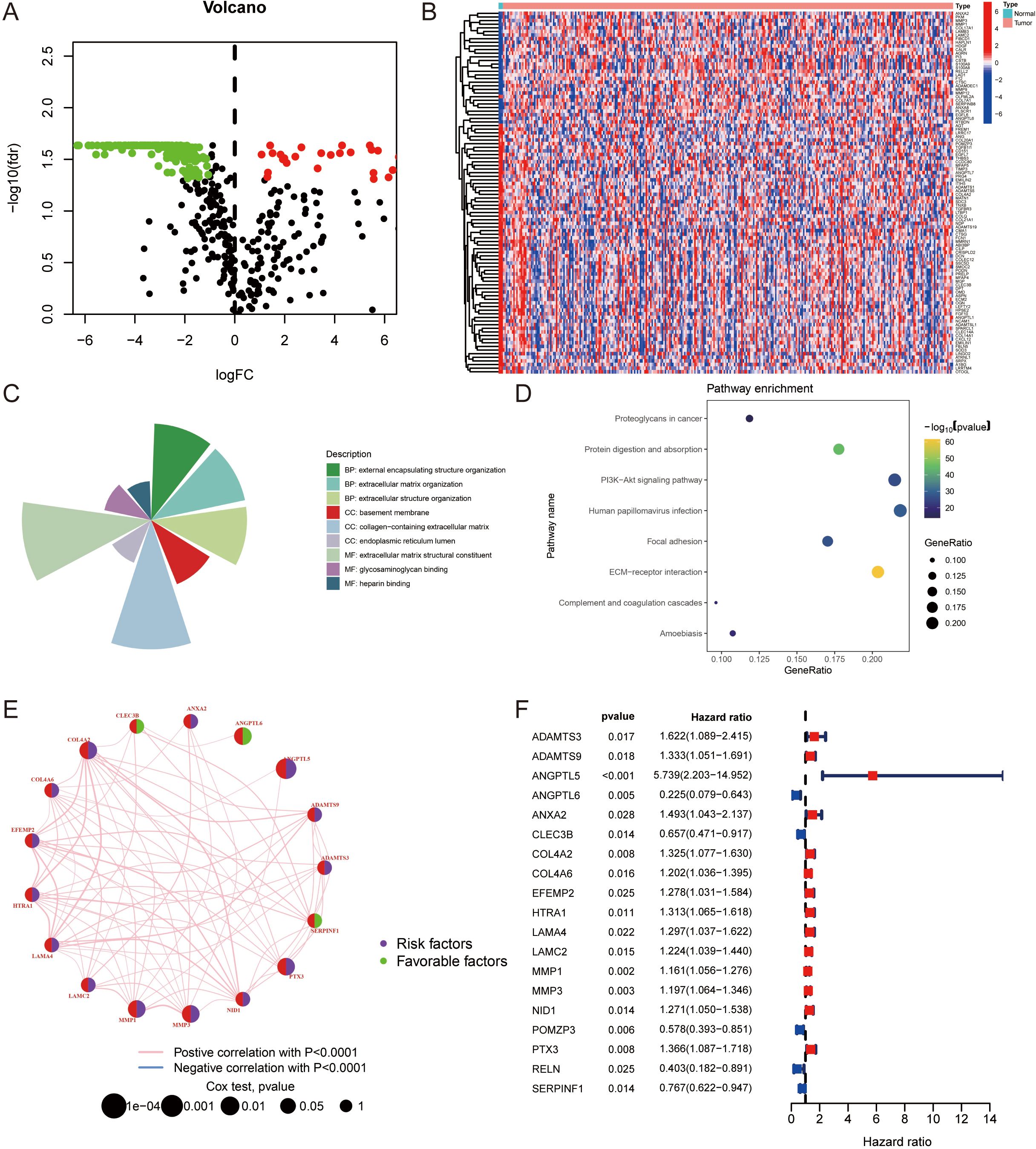 A collection of six data visualizations related to gene expression analysis: A) A volcano plot showing gene expression changes, with green and red points indicating significant downregulated and upregulated genes, respectively. B) A clustered heatmap representing gene expression across normal and tumor samples, with blue and red colors indicating different expression levels. C) A pie chart displaying Gene Ontology categories for different genes, with a legend for description. D) A bubble chart illustrating pathway enrichment analysis, showing pathways, gene ratios, and significance levels in color gradients. E) A network diagram of gene interactions highlighting risk and favorable factors. F) A forest plot showing hazard ratios for various genes in survival analysis, with p-values and confidence intervals.