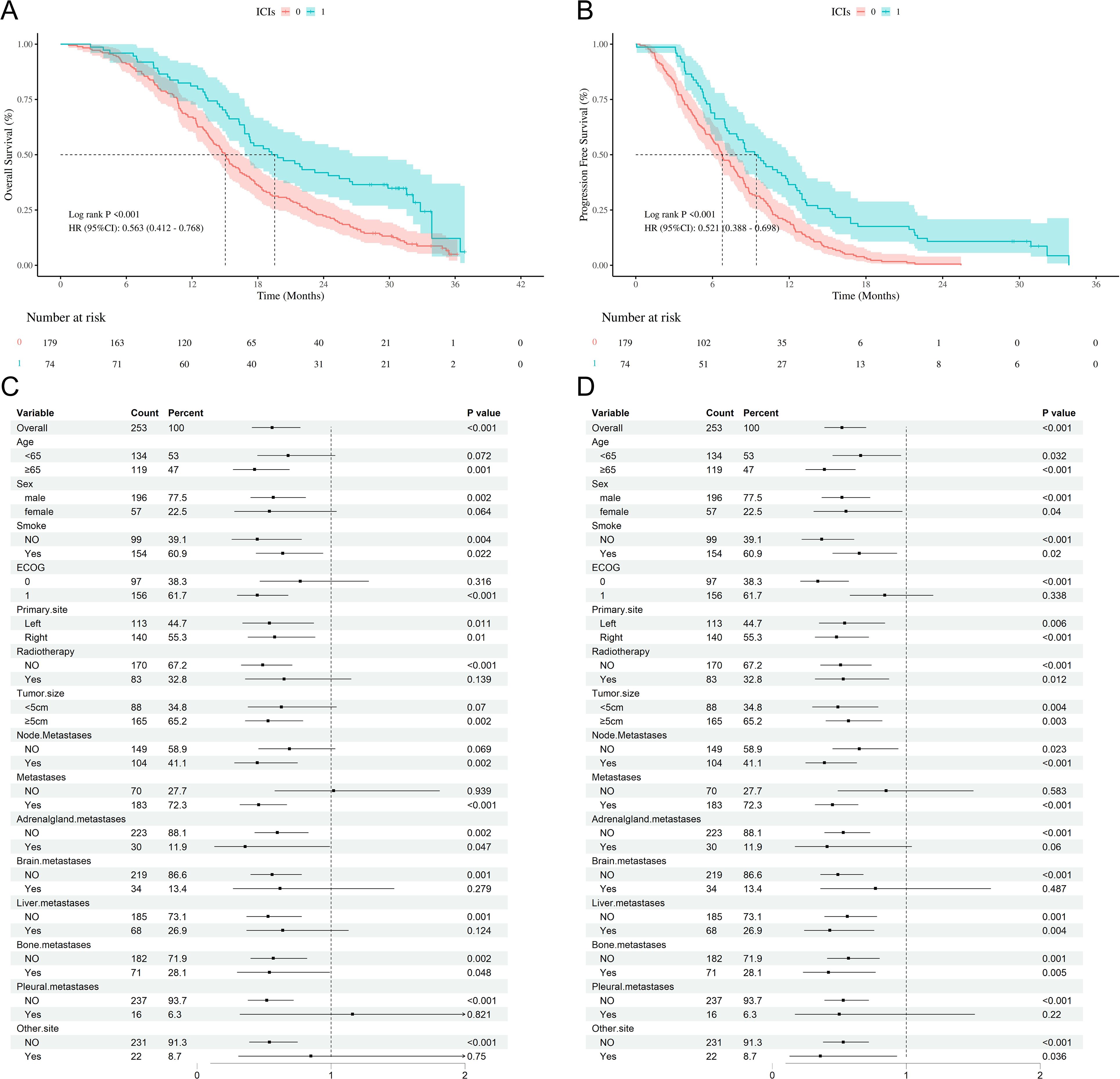 Graphs A and B show survival curves for overall and progression-free survival with and without immune checkpoint inhibitors (ICIs). In both graphs, the survival rates are higher with ICIs, highlighted in blue, compared to the control in red. Tables C and D present statistical data and p-values for various clinical variables affecting survival, such as age, sex, smoking, ECOG status, primary site, radiotherapy, tumor size, and presence of metastases. The tables compare these variables across different cohorts, indicating significance levels of the differences.