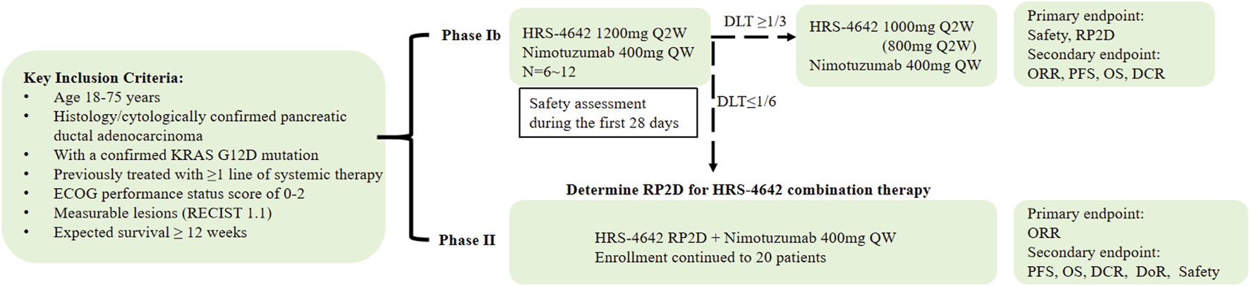 Clinical trial flowchart for a study with key inclusion criteria including age 18-75, confirmed pancreatic ductal adenocarcinoma, KRAS G12D mutation, previous systemic therapy, and measurable lesions. The trial has Phase Ib for safety assessment and Phase II with endpoints for safety and optimal response. Phase Ib involves HRS-4642 and Nimotuzumab dosage variations. Phase II continues enrollment with additional endpoints like PFS, OS, ORR, and DCR.