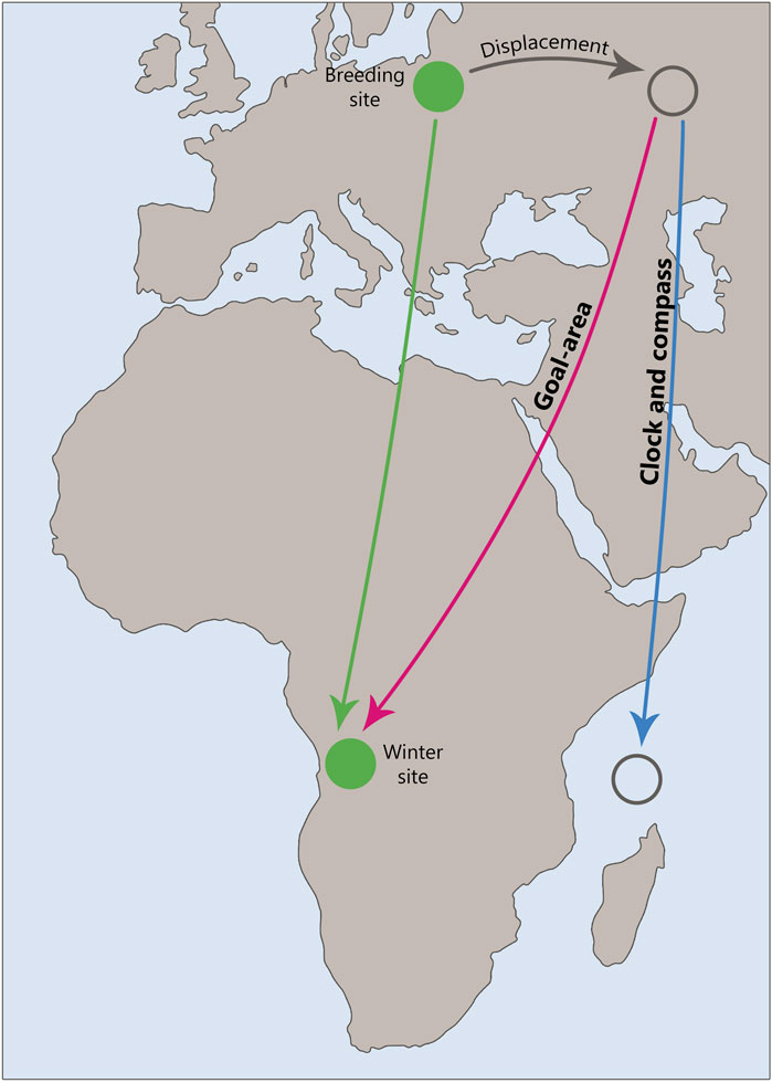 www.frontiersin.org