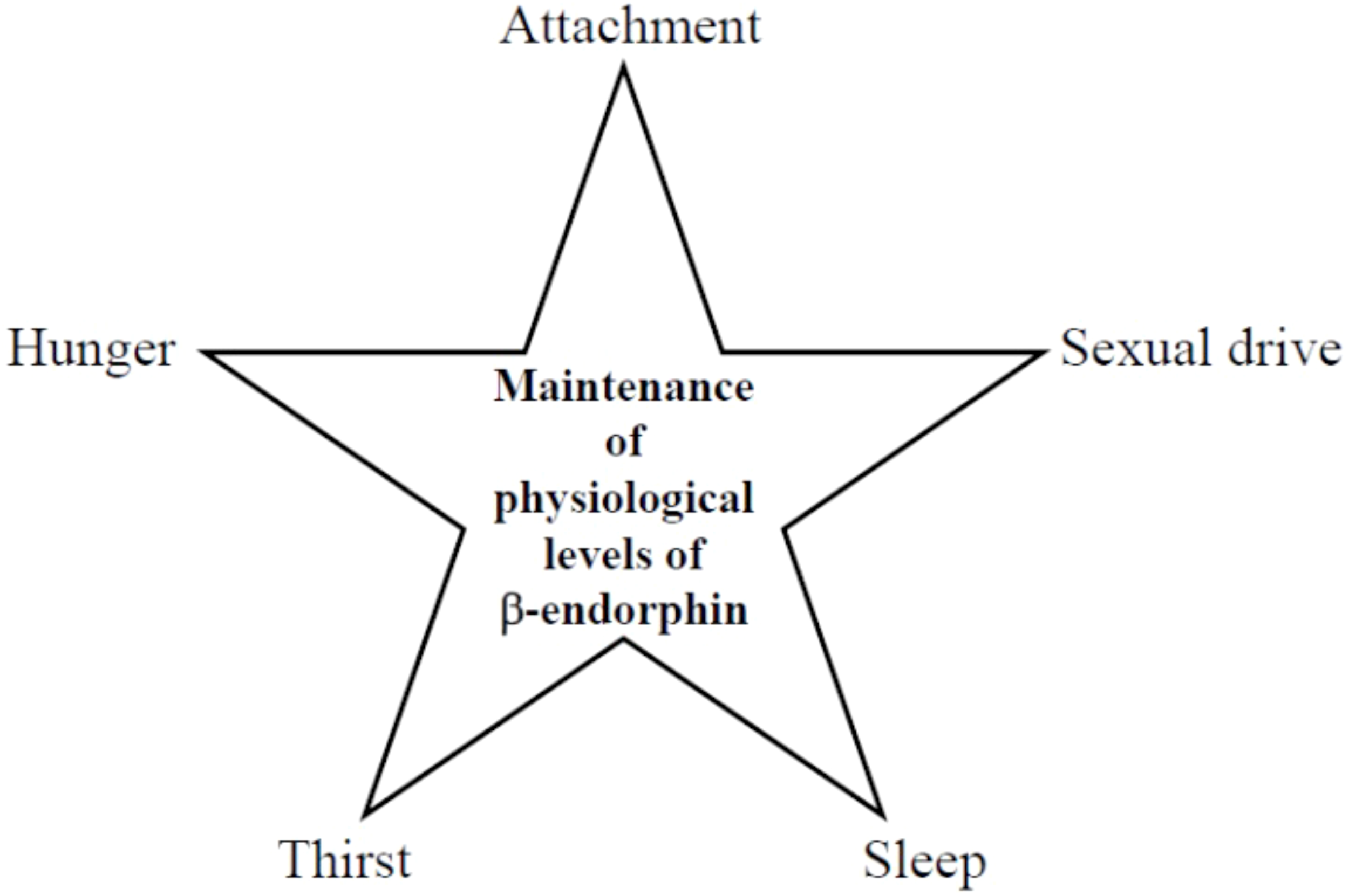 Star-shaped diagram illustrating the maintenance of physiological levels of beta-endorphin, with five points labeled: Attachment, Sexual drive, Sleep, Thirst, and Hunger.