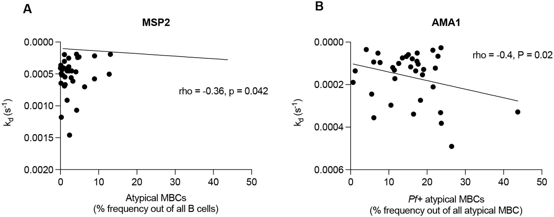 Two scatter plots show the relationship between atypical memory B cells (MBCs) and the dissociation rate constant (k_ee) for MSP2 and AMA1. Chart A illustrates a correlation in MSP2 with a rho of -0.36 and a p-value of 0.042. Chart B shows a correlation in AMA1 with a rho of -0.4 and a p-value of 0.02. Both plots display negative correlations with best-fit lines and scatter points.