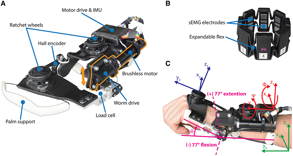 Images illustrating a wearable robotic device with labeled components. A: Shows the device's parts including motor drive, brushless motor, worm drive, IMU, Hall encoder, load cell, and palm support with ratchet wheel systems. B: Displays the Myo Armband including sEMG electrodes mounted on a band with expandable flex. C: Depicts the device on a person's arm with reference axes for each movement, demonstrating flexion and extension angles.