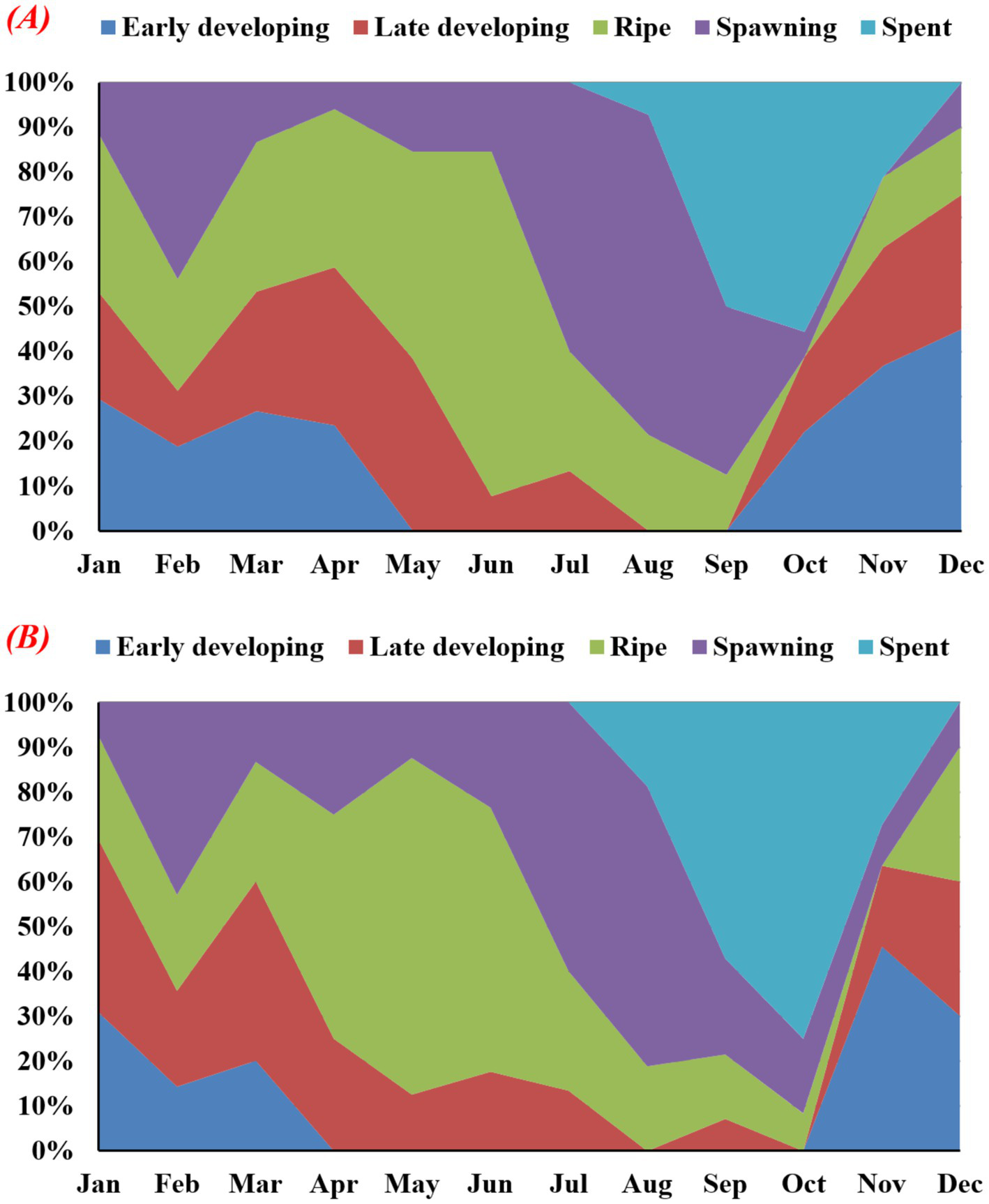 Two area charts labeled A and B display the monthly percentage distribution of stages in fish development over a year. Both charts show categories: early developing, late developing, ripe, spawning, and spent, represented by different colors. Chart A indicates a higher percentage of “spawning” in September and “early developing” in March and November. Chart B shows a steady increase in “spent” categories towards the year’s end, with “ripe” dominating in mid-year. Each stage’s percentage varies over the months.
