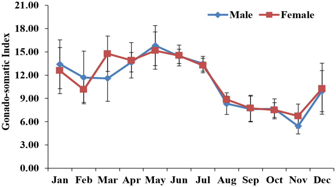 Line graph showing the gonado-somatic index for males (blue diamonds) and females (red squares) from January to December. Both groups peak in summer months and dip in autumn, with females generally higher than males. Error bars indicate variability.