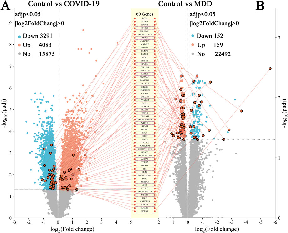 Volcano plots comparing gene expression changes. Panel A shows Control versus COVID-19 with significant genes highlighted in blue (downregulated) and red (upregulated). Panel B shows Control versus Major Depressive Disorder (MDD) with a similar color coding. The central list highlights 60 genes impacted in both comparisons. Significant genes are color-coded: blue for downregulation, red for upregulation, and gray for no change. The y-axis shows \(-\text{log}_{10}\) of adjusted p-values, and the x-axis shows log2 fold changes.