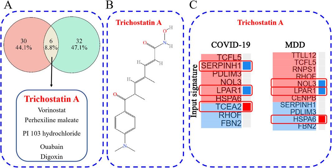 Diagram illustrating the relationship between COVID-19 and MDD signature genes influenced by Trichostatin A. Panel A shows a Venn diagram with a shared section of six genes. Panel B presents the chemical structure of Trichostatin A. Panel C lists genes affected by Trichostatin A for COVID-19 and MDD, highlighting SERPINH1, LPAR1, and NOL3.