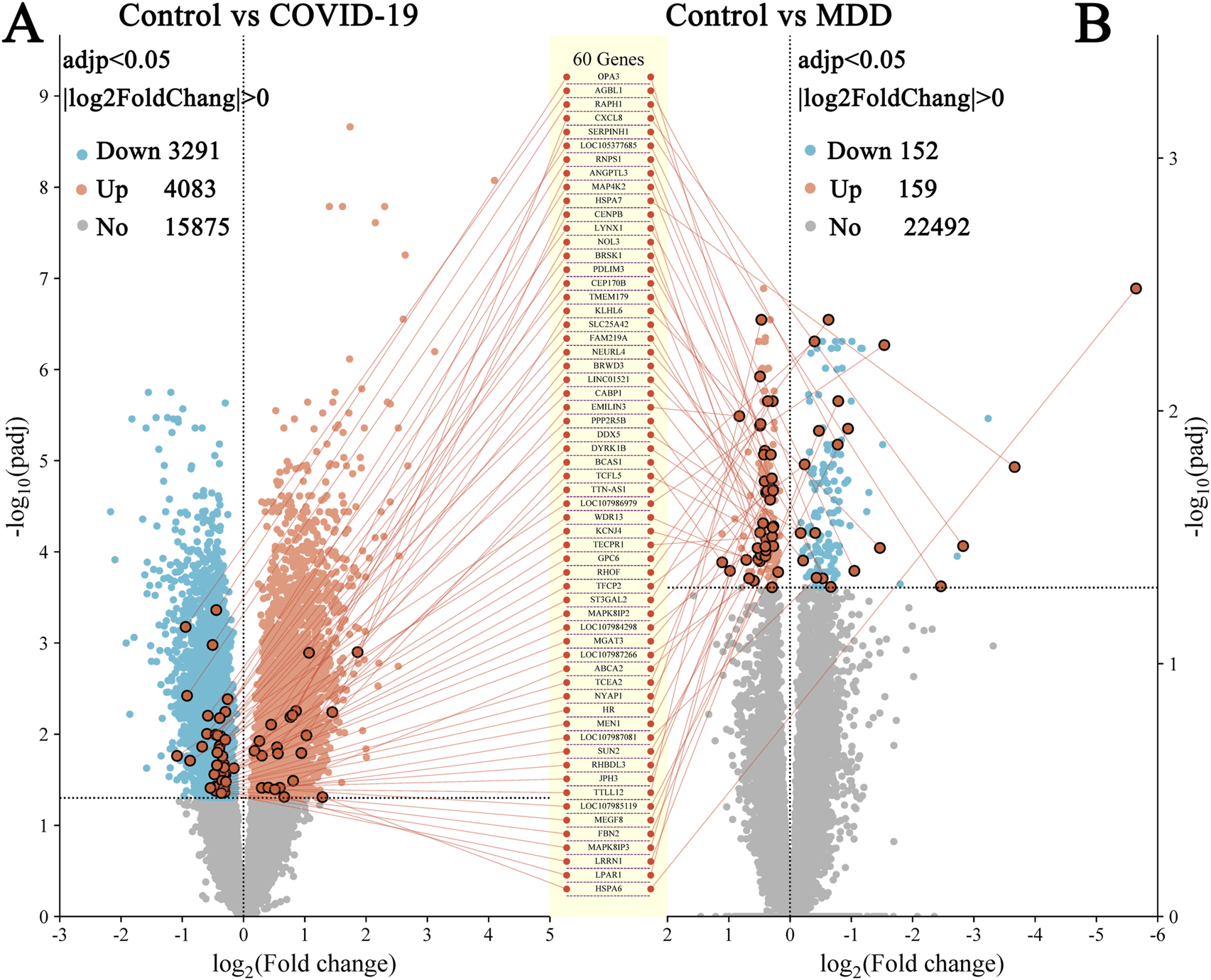 Volcano plots comparing gene expression changes. Panel A shows Control versus COVID-19 with significant genes highlighted in blue (downregulated) and red (upregulated). Panel B shows Control versus Major Depressive Disorder (MDD) with a similar color coding. The central list highlights 60 genes impacted in both comparisons. Significant genes are color-coded: blue for downregulation, red for upregulation, and gray for no change. The y-axis shows \(-\text{log}_{10}\) of adjusted p-values, and the x-axis shows log2 fold changes.