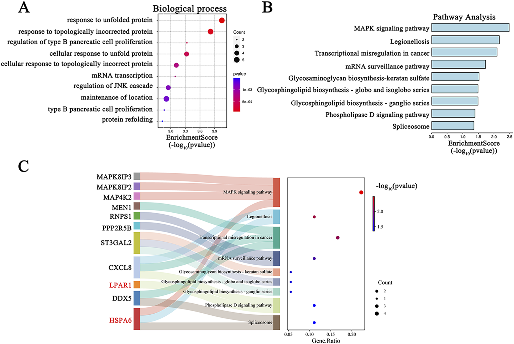 Figure A shows a dot plot of enriched biological processes with varying dot sizes indicating counts and colors representing p-values. Figure B presents a bar chart of pathway analysis, highlighting pathways with enrichment scores. Figure C features a Sankey diagram linking genes to pathways and a scatter plot depicting gene ratios and p-values with varying dot sizes indicating counts.