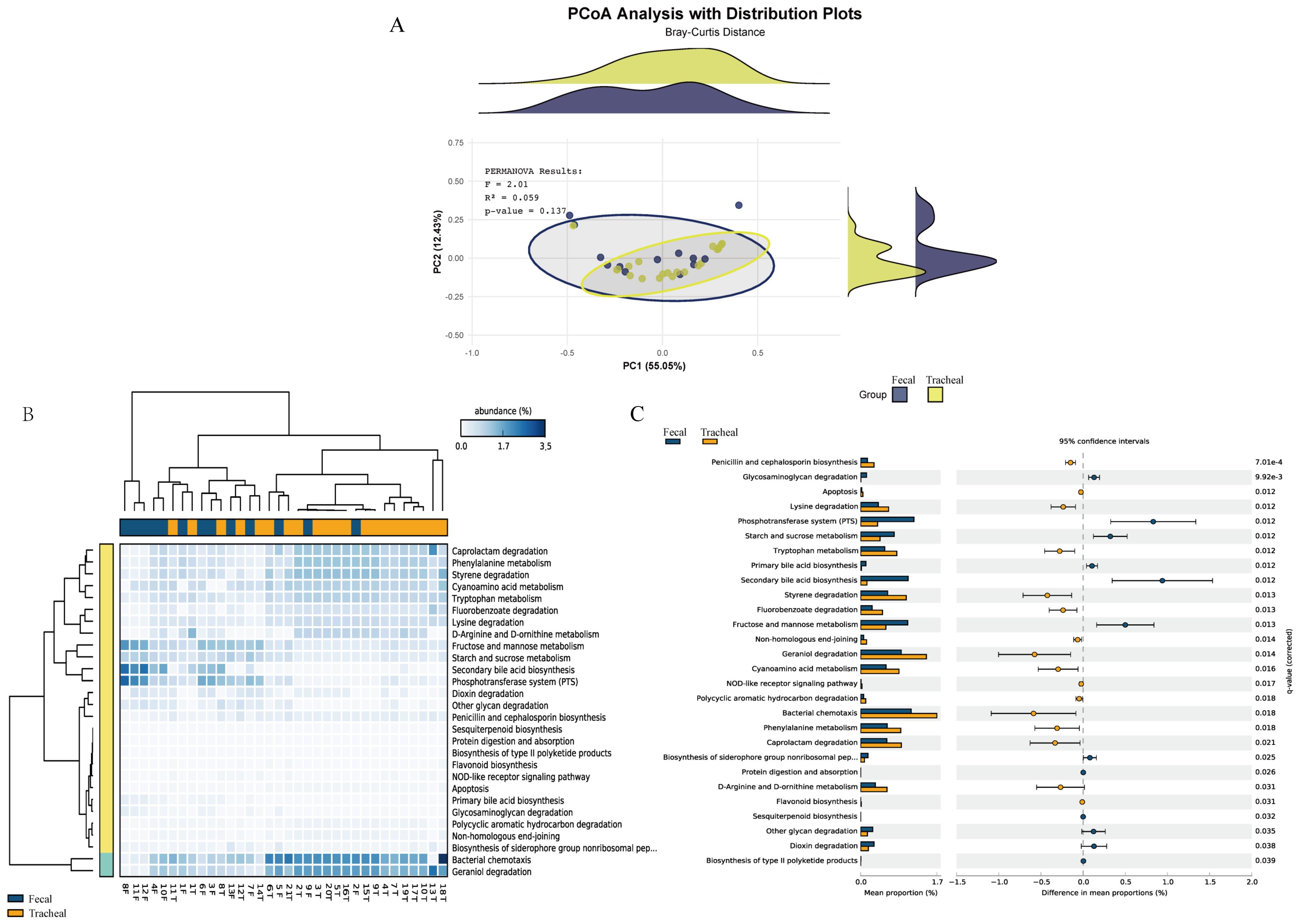 PCoA analysis with distribution plots and heatmap. The top section shows a PCoA plot with overlain ellipses representing clustering of fecal and tracheal samples with respective density distributions. The heatmap below indicates abundance percentages of various metabolic pathways, with color-coded clustering for fecal (blue) and tracheal (yellow) samples. A bar chart on the right displays mean proportions and confidence intervals for metabolic pathways, differentiated by sample type. In the PCoA, PC1 explains 55.05 percent of variance and PC2 explains 12.45 percent, with statistical values shown for the PERMANOVA test.