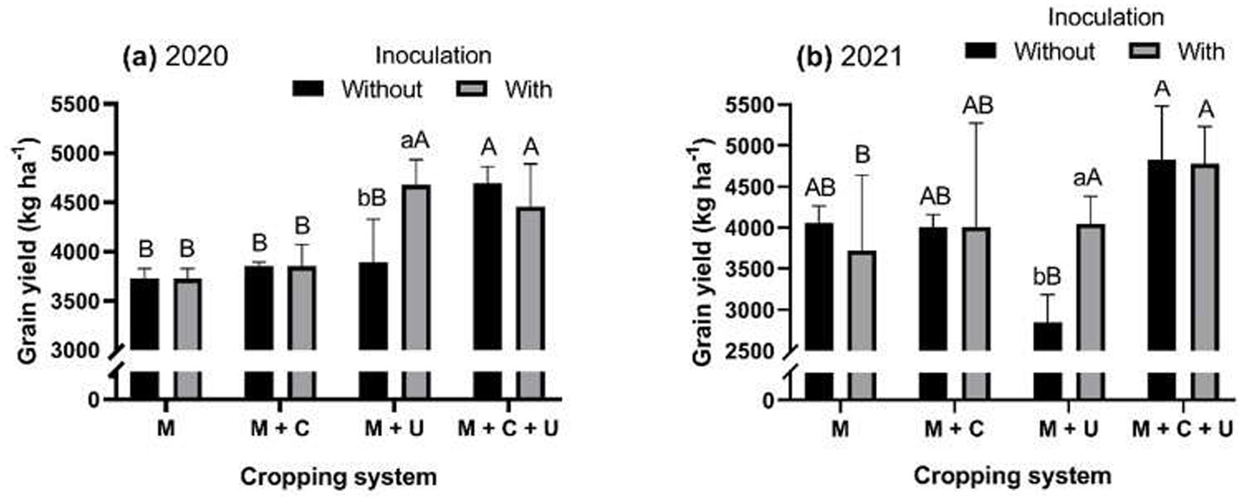 Bar charts comparing grain yield in kilograms per hectare across different cropping systems with and without inoculation for the years 2020 and 2021. For 2020, yields increase with combined inoculation, with M yielding less than M plus C, M plus U, and M plus C plus U. In 2021, M plus C plus U maintains the highest yield, with inoculation having varying effects across other systems.