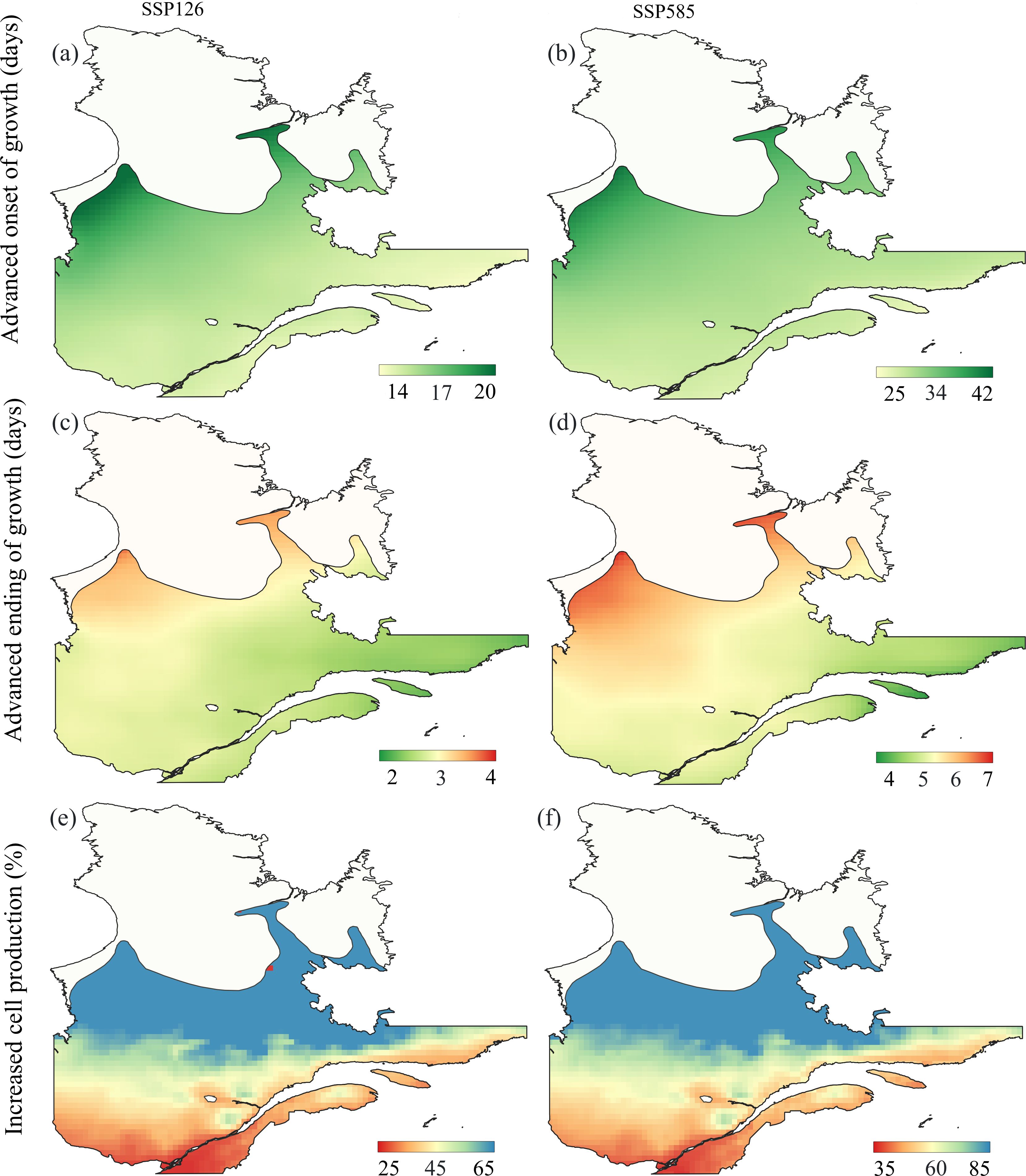 Maps illustrating changes in growth patterns and cell production under different shared socioeconomic pathways (SSP). Panels (a) and (b) show advanced onset of growth in days, with green shading indicating varying levels. Panels (c) and (d) depict advanced ending of growth in days, using red to green gradients. Panels (e) and (f) illustrate increased cell production percentage, with colors ranging from red to blue. Each panel has corresponding scales indicating measurement ranges.