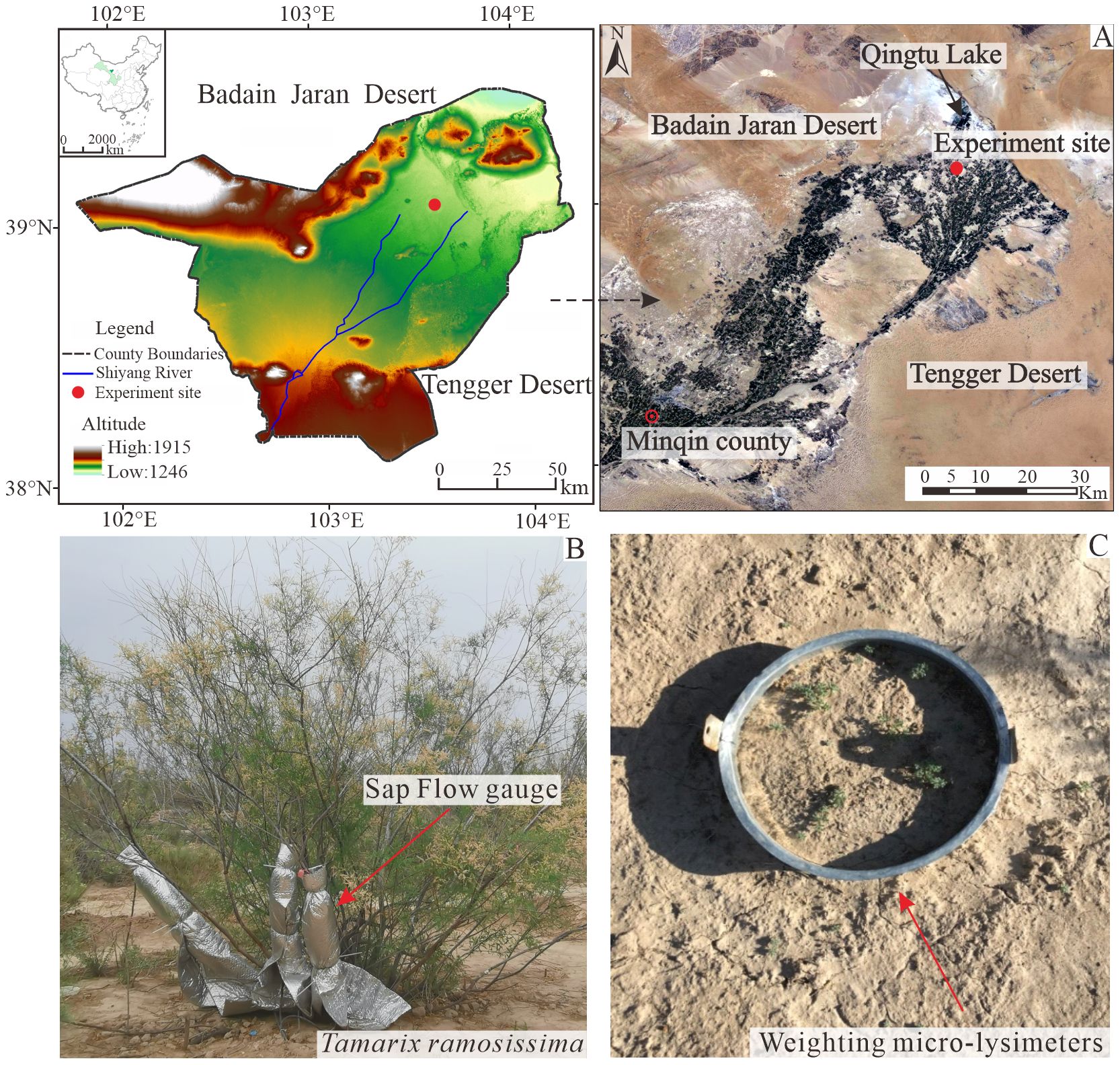 Map and aerial views highlighting an experiment site in the Badain Jaran and Tengger Deserts near Minqin county, showing varying altitudes and the Shiyang River. A satellite image indicates Qingtu Lake and key locations. A photo of Tamarix ramosissima with a sap flow gauge and a ring outlining weighting micro-lysimeters is included.