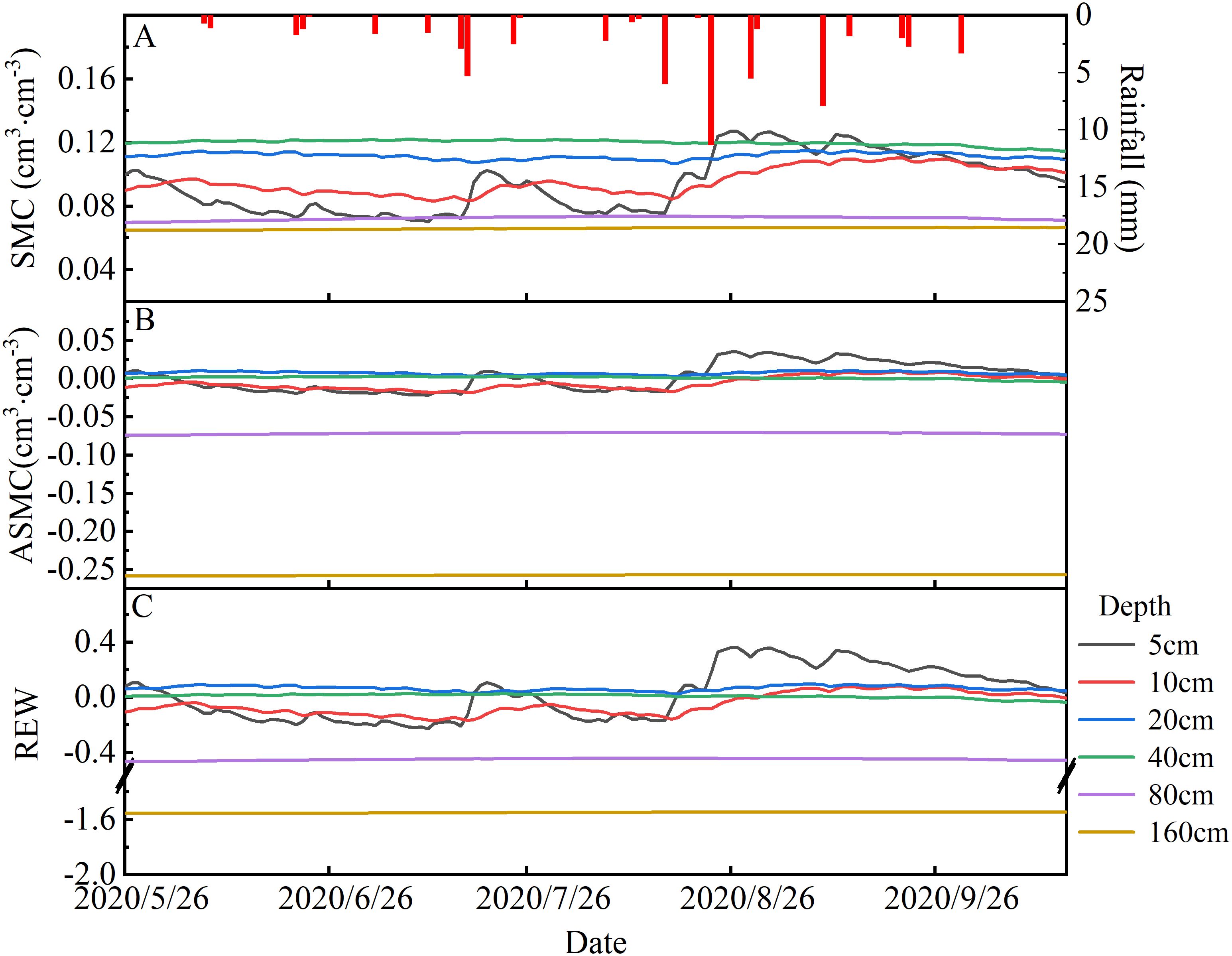 Graph showing changes over time from May 26 to September 26, 2020. Panel A displays soil moisture content and rainfall. Panel B shows adjusted soil moisture content, and panel C displays relative extractable water. Lines represent different depths: 5 cm, 10 cm, 20 cm, 40 cm, 80 cm, and 160 cm. Rainfall is marked with red bars in panel A.