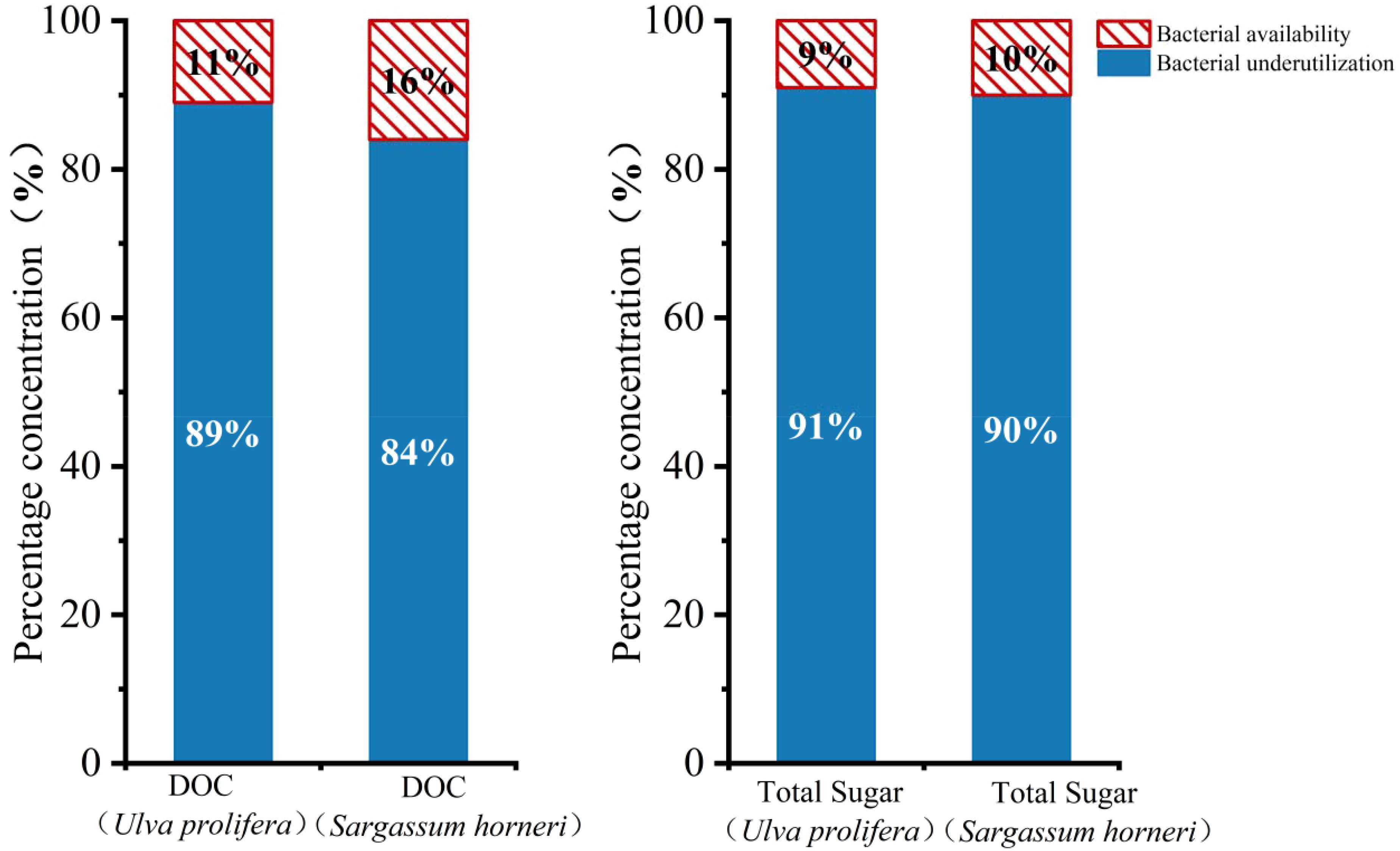 Bar chart showing the percentage concentration of DOC and Total Sugar for two species: Ulva prolifera and Sargassum horneri. For both measures, DOC shows 89% utilization for Ulva prolifera and 84% for Sargassum horneri, with bacterial availability indicated by 11% and 16% respectively. Total Sugar shows 91% for Ulva prolifera and 90% for Sargassum horneri, with bacterial availability of 9% and 10%, respectively.