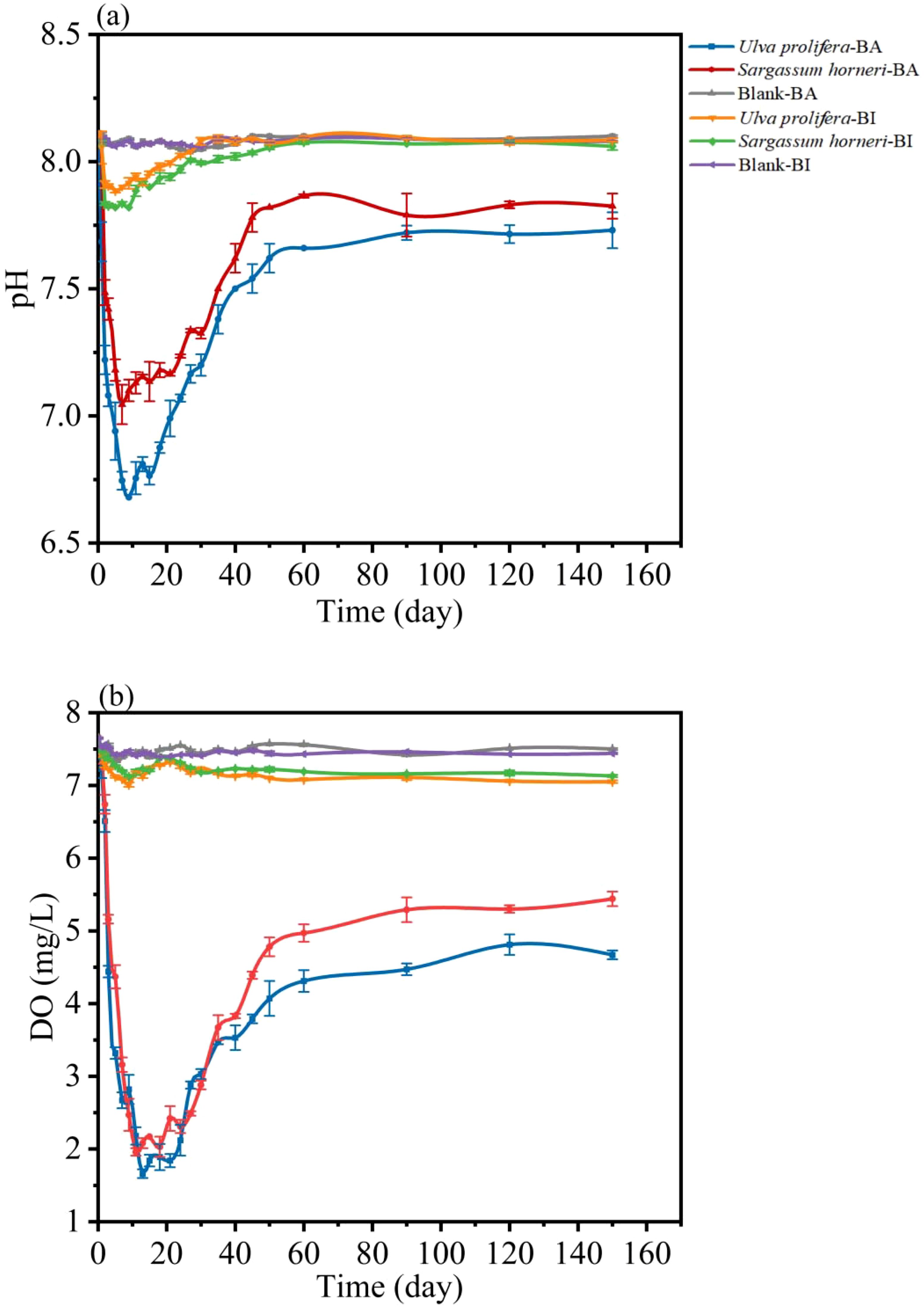 Line graphs showing changes over time in two parameters. Graph (a) depicts pH levels for different treatments over 160 days. Graph (b) shows dissolved oxygen (DO) levels in milligrams per liter over the same period. Treatments include *Ulva prolifera* and *Sargassum horneri*, with variations labeled BA and BI, and two blank controls. pH values generally stabilize around 7.5 to 8.2, while DO values stabilize around 6 to 7.5 mg/L after initial fluctuations. Error bars indicate variability.