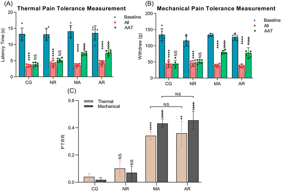 Chart showing pain tolerance measurements for different treatments. (A) Thermal pain tolerance with latency time in seconds for CG, NR, MA, AR groups, comparing baseline, AII, and AAT. (B) Mechanical pain tolerance with withdrawal in grams for CG, NR, MA, AR groups. (C) PTRR for thermal and mechanical stimuli across the same groups. Statistical significance indicated by asterisks and NS denotes non-significant.
