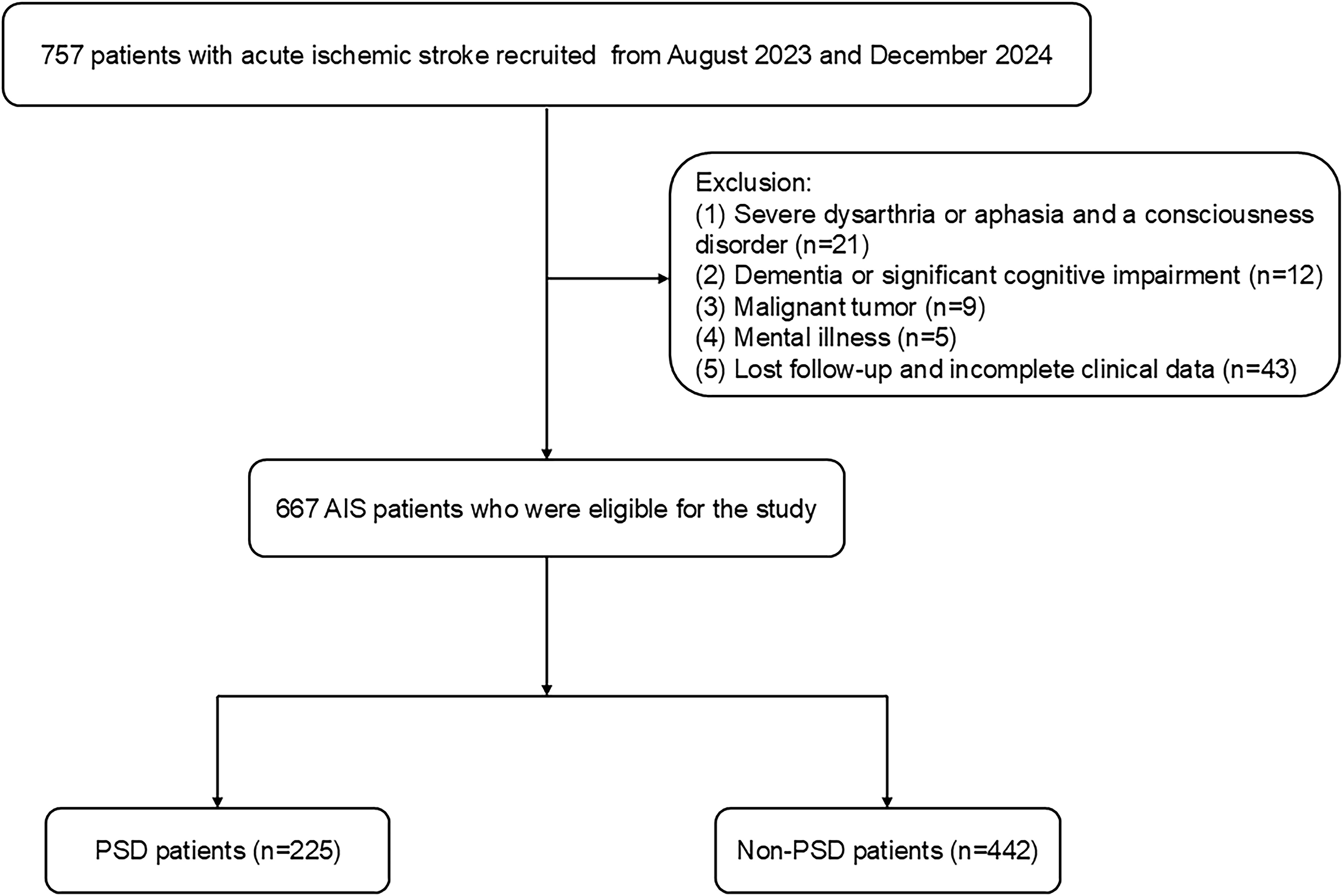 Flowchart showing patient recruitment for a study on acute ischemic stroke from August 2023 to December 2024. Of 757 patients, 90 were excluded for reasons including severe dysarthria or aphasia, dementia, malignant tumor, mental illness, or incomplete data. This left 667 eligible patients. These were divided into 225 PSD patients and 442 non-PSD patients.