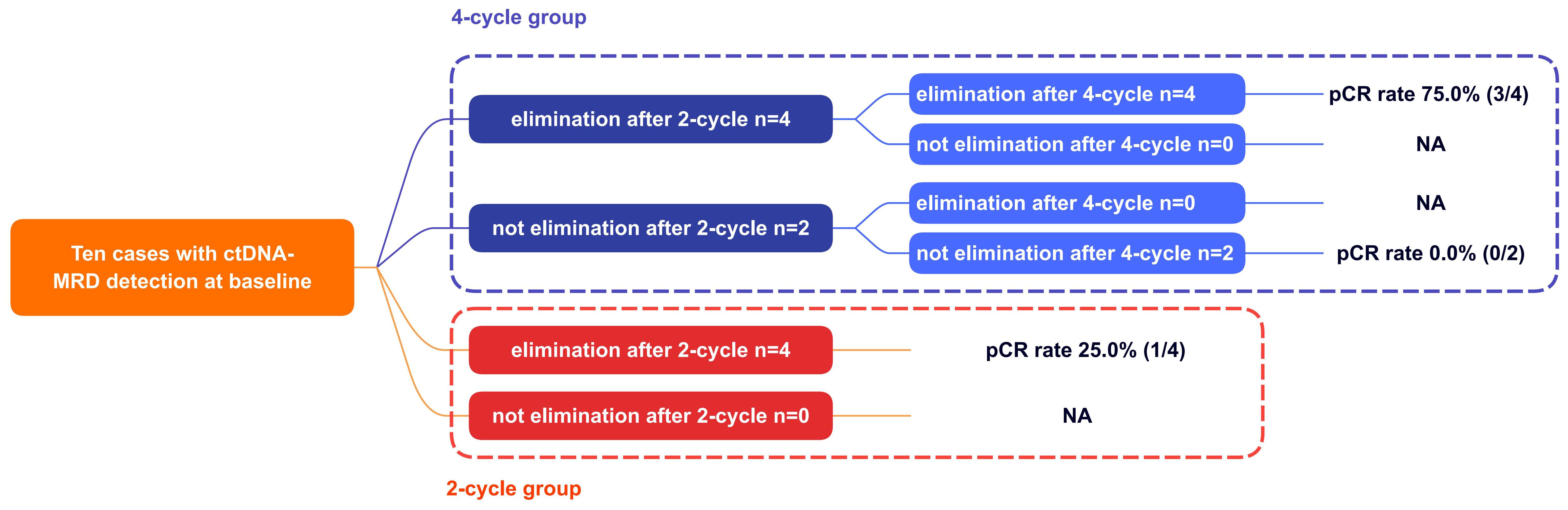 Flowchart illustrating ten cases with ctDNA-MRD detection at baseline, divided into two groups: 4-cycle and 2-cycle. The 4-cycle group shows elimination and non-elimination after two cycles, with further breakdown after four cycles. PCR rates: 75.0% for elimination and 0% for non-elimination in the 4-cycle group. The 2-cycle group has a 25.0% pCR rate for elimination. Some rates are labeled as NA.