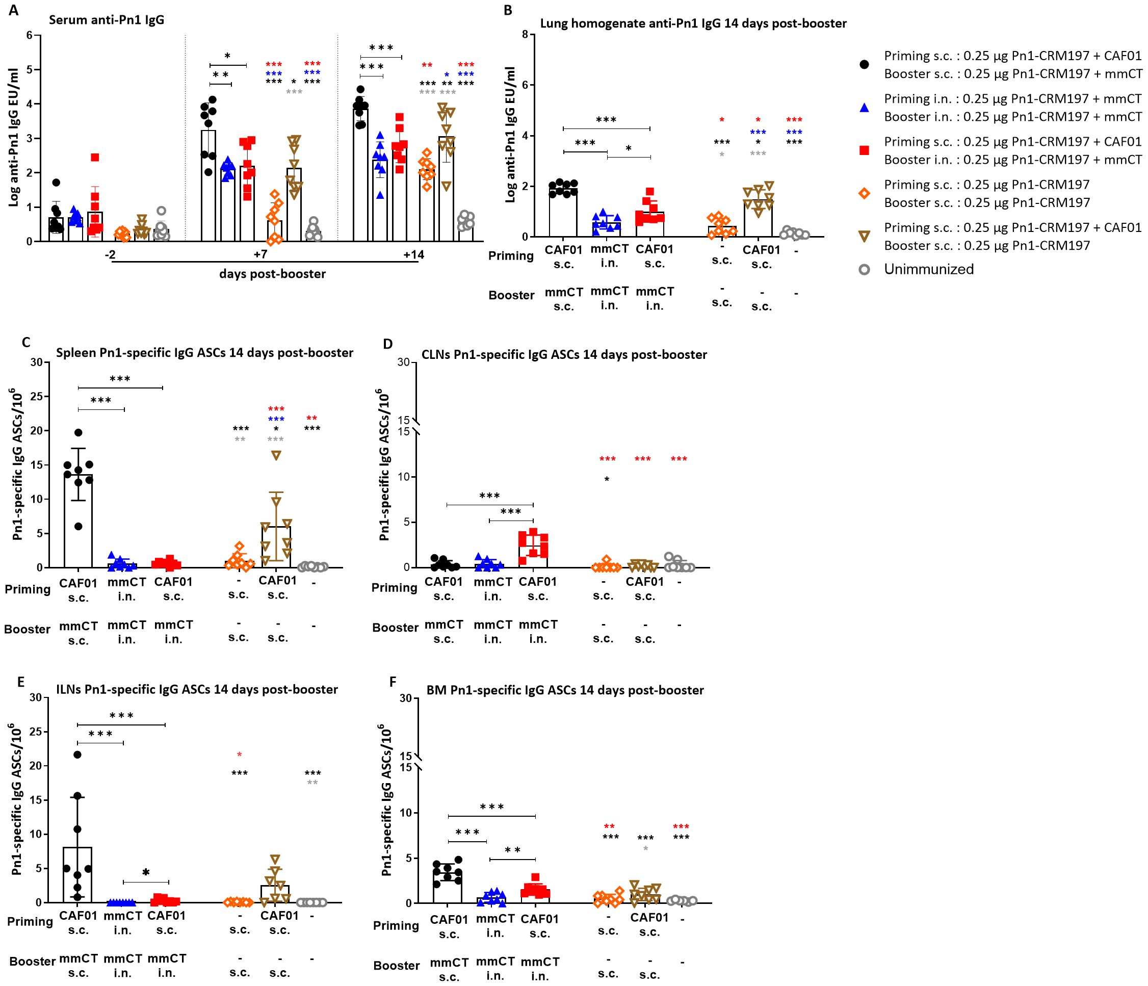 Graphs showing Pn1-specific IgG and IgG ASCs levels post-booster vaccination in different tissues: serum (A), lung (B), spleen (C), CLNs (D), ILNs (E), BM (F). Each graph displays data for various vaccination regimens involving priming and boosting methods, with significant differences marked by asterisks. Comparisons include use of CAF01 and mmCT with routes of subcutaneous and intranasal delivery. Statistical significance is indicated by asterisks: one asterisk for P<0.05, two for P<0.01, and three for P<0.001.