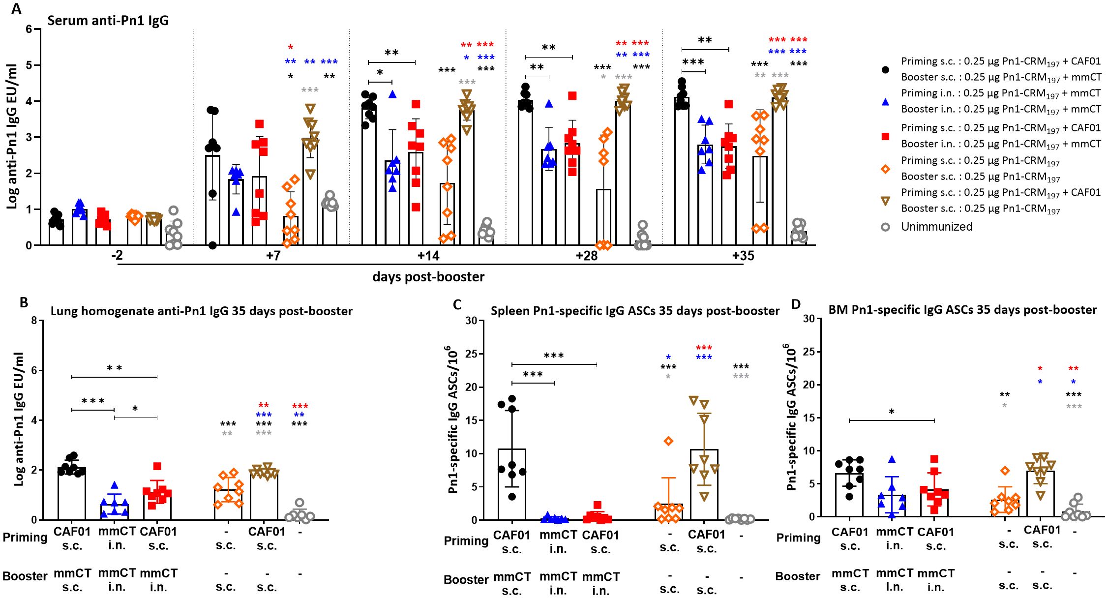 Graphs show immune responses post-booster in various groups. Panel A presents serum anti-Pn1 IgG levels over time; panel B shows lung IgG levels after 35 days; panel C displays spleen IgG ASCs; panel D depicts bone marrow IgG ASCs. Different symbols and colors represent diverse priming and booster regimens, with significant differences indicated by asterisks. Error bars denote standard deviation.