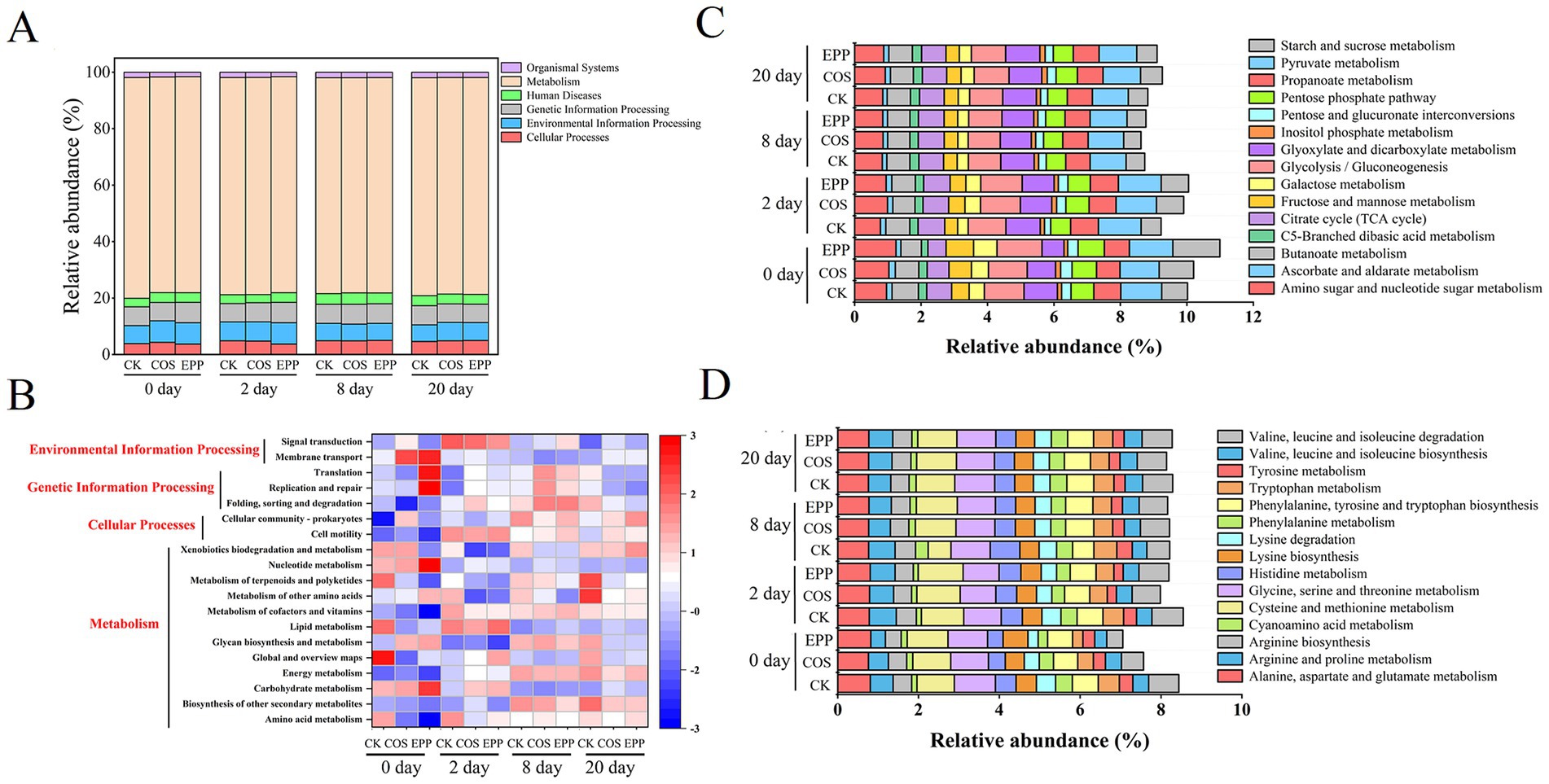 Grouped visual data representation with four panels labeled A, B, C, and D. Panel A shows stacked bar charts comparing relative abundance percentages of various categories including Organismal Systems and Metabolism over time. Panel B presents a heat map illustrating changes in categories like Environmental Information Processing and Metabolism across different time points. Panel C features stacked bar charts displaying relative abundances of specific metabolic processes such as Starch and Sucrose Metabolism. Panel D demonstrates similar analysis for amino acid and protein metabolism, with categories like Valine and Leucine Metabolism across different samples and time points.
