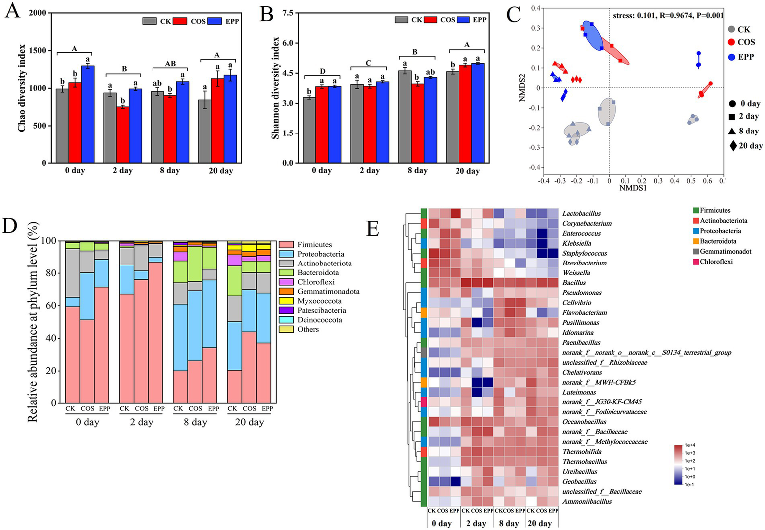 Panel of images showing microbiome data across different conditions. A: Bar graph of Chao diversity index over 0, 2, 8, and 20 days for CK, COS, and EPP groups with error bars and significance letters. B: Bar graph of Shannon diversity index over the same time points and conditions, with error bars and significance letters. C: NMDS plot comparing microbial communities with stress, R, and p-values indicated, showing different shapes and colors for each group and time point. D: Stacked bar chart showing relative abundance of microbial phyla over time for each group. E: Heatmap of microbial genera abundance at different time points, with phylum legend.