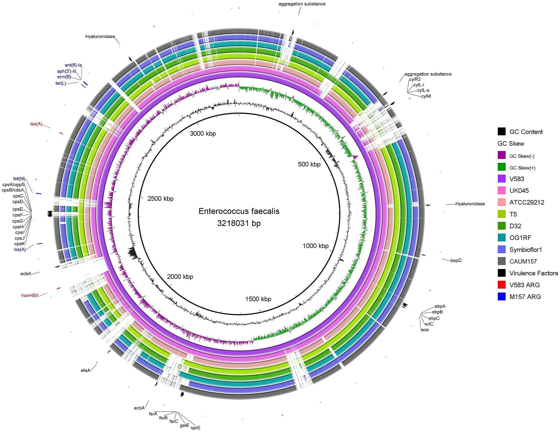 Circular genome maps of Enterococcus faecalis, displaying the GC content (black line), GC skew (green, + skew; purple, - skew), and gene distribution across different strains. Differently colored bands represent the genome of each strain, specifically (center moving outwards): light purple, V583; pink, UK045; peach = ATCC 29212; light green, T5; green, D32; teal blue, OG1RF; lavender, Symbioflor1; gray, CAUM157. Feature annotations (lines outside the genome rings) represent virulence factors (black), V583 antimicrobial resistance genes (red), and CAUM157 antimicrobial resistance genes (blue). The map is segmented into kilobase pair markers (500 kbp increments).