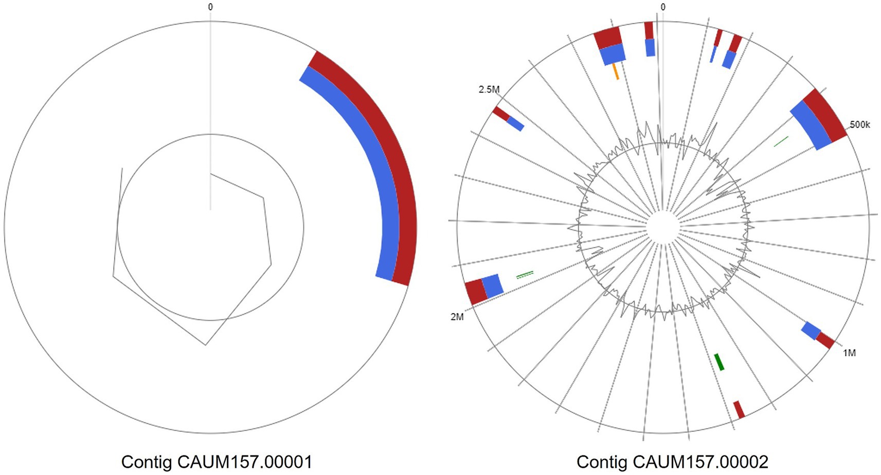 Two circular graphs representing the two contigs (CAUM157.00001 and CAUM157.00002) showing the identified integrated genomic islands. The left contig shows a single radial colored segment, while the right contig has nine identified segments. Red segments idicates the region was identified using integrated method; blue, IslandPath-DIMOB; orange, SIGI-HMM; and green, IslandPick. The map is segmented into kilobase pair markers (500 kbp increments).