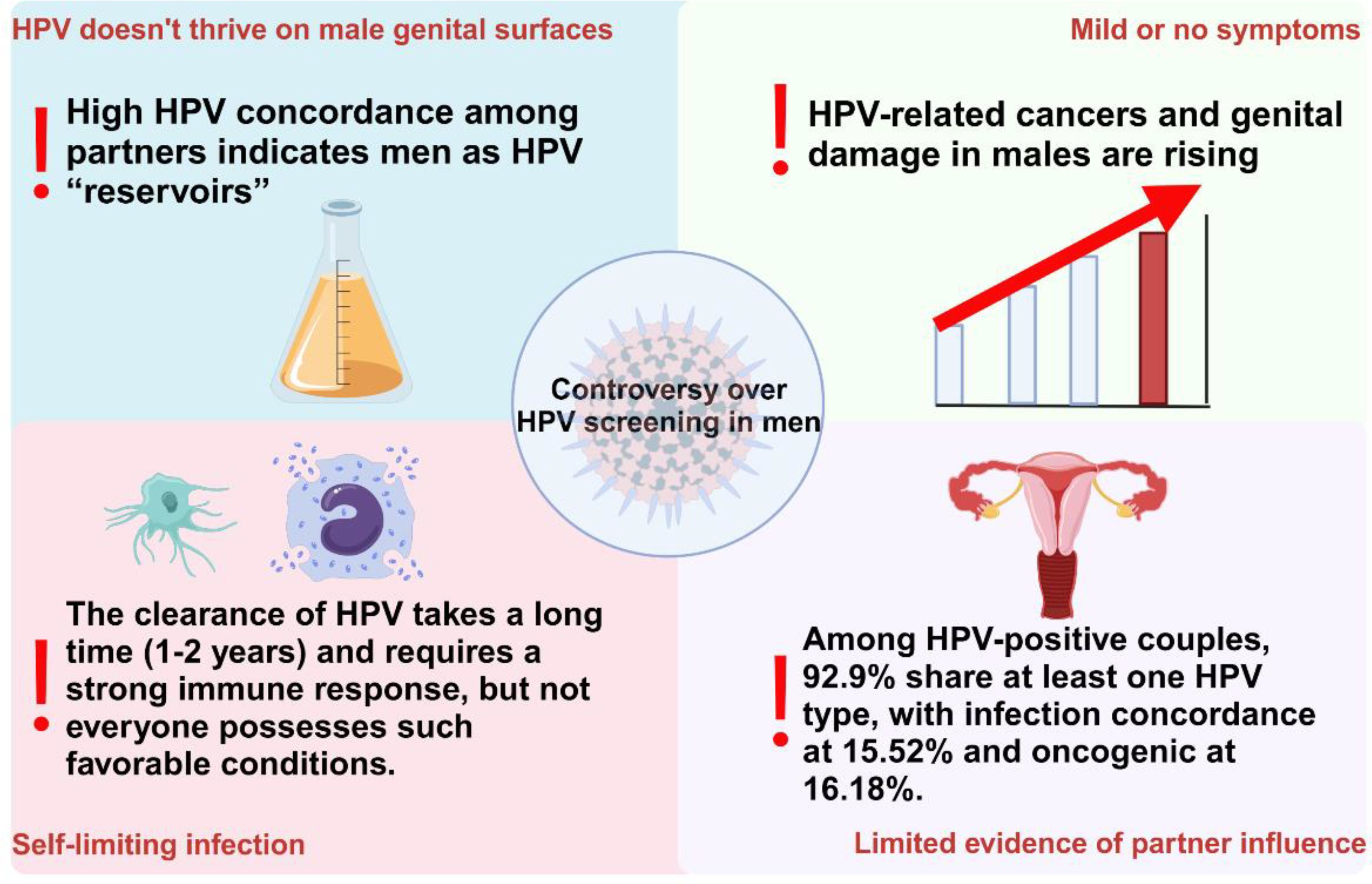 Infographic discussing HPV in men. Top left highlights high HPV concordance among partners designating men as reservoirs. Top right notes rising HPV-related cancers and genital damage in men. Center circle expresses controversy over male HPV screening. Bottom left states HPV clearance requires a strong immune response, taking one to two years. Bottom right shows 92.9% of HPV-positive couples share an HPV type, with infection concordance at 15.52% and oncogenic at 16.18%.