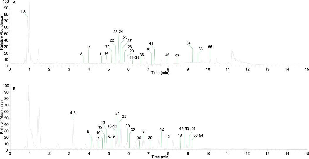 Two chromatogram plots labeled A and B show relative abundance versus time in minutes. Plot A displays several peaks with notable ones at the start and around five to nine minutes, labeled with numbers such as 1-3 and 23-24. Plot B also shows numerous peaks with significant ones early and around four to seven minutes, labeled with numbers like 4-5 and 21. Peaks are annotated with green lines and numbers indicating specific compounds or measurements. The x-axis ranges from zero to fifteen minutes, with the y-axis up to one hundred relative abundance.