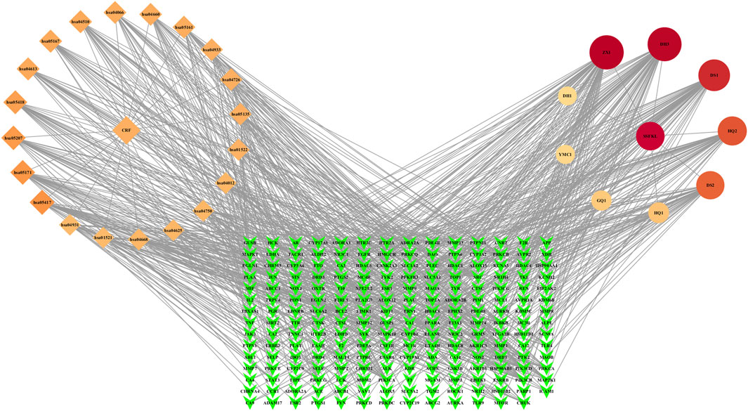 Diagram of a complex network graph. Orange diamonds represent nodes labeled with codes like