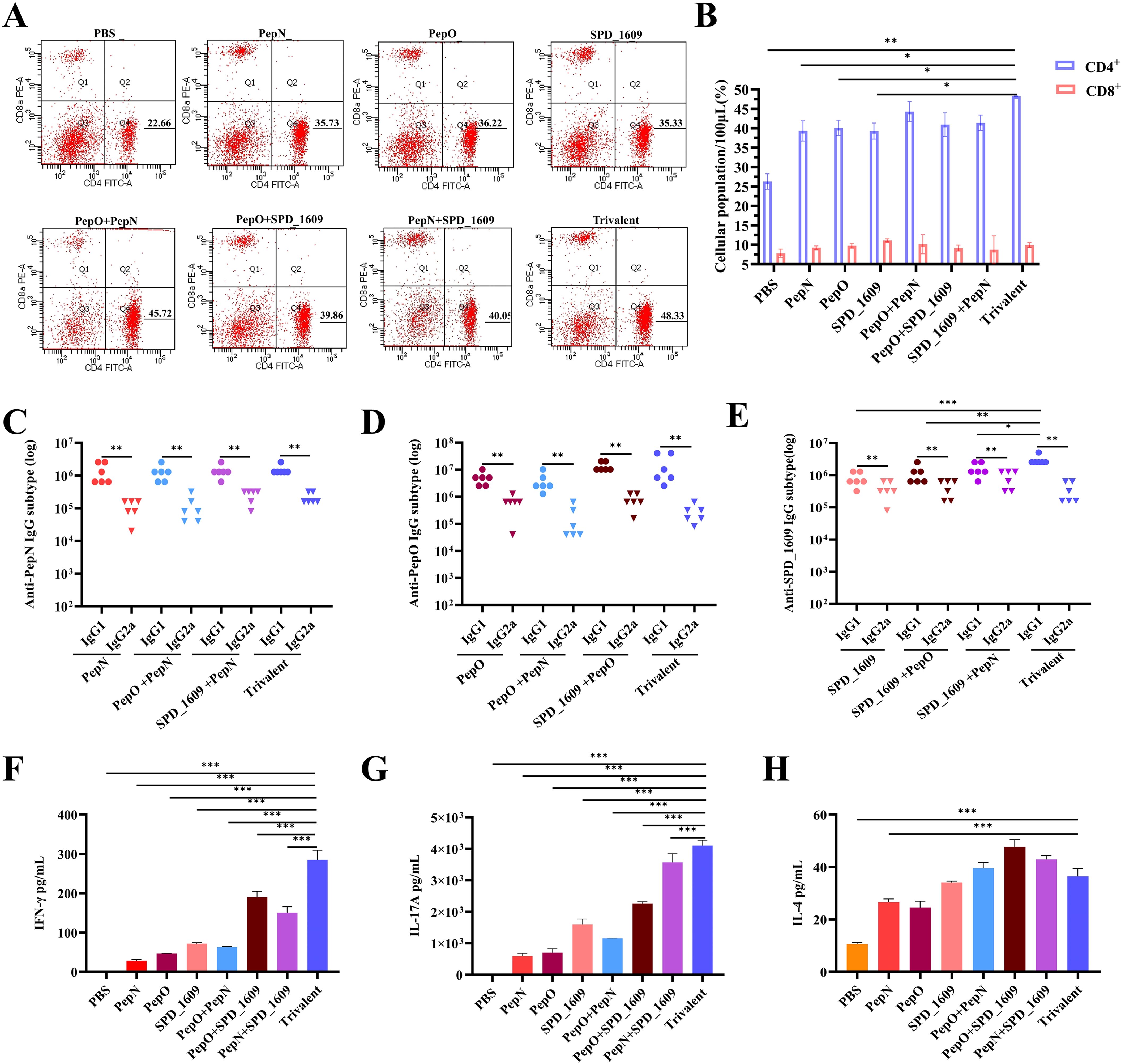 Flow cytometry plots and bar graphs depict immune responses to various peptide and trivalent vaccine formulations. The plots in panel A display CD4 and CD8 T-cell populations. Panel B shows a bar graph with cellular population percentages with significant statistical comparisons. Panels C, D, and E present IgG subtype responses to different peptides, with significance indicated by asterisks. Panels F, G, and H show bar graphs of cytokine levels, IFN-γ, IL-17A, and IL-4, respectively, with statistical significance marked. Each panel compares different conditions like PepN, PepO, and combinations with statistical markers.