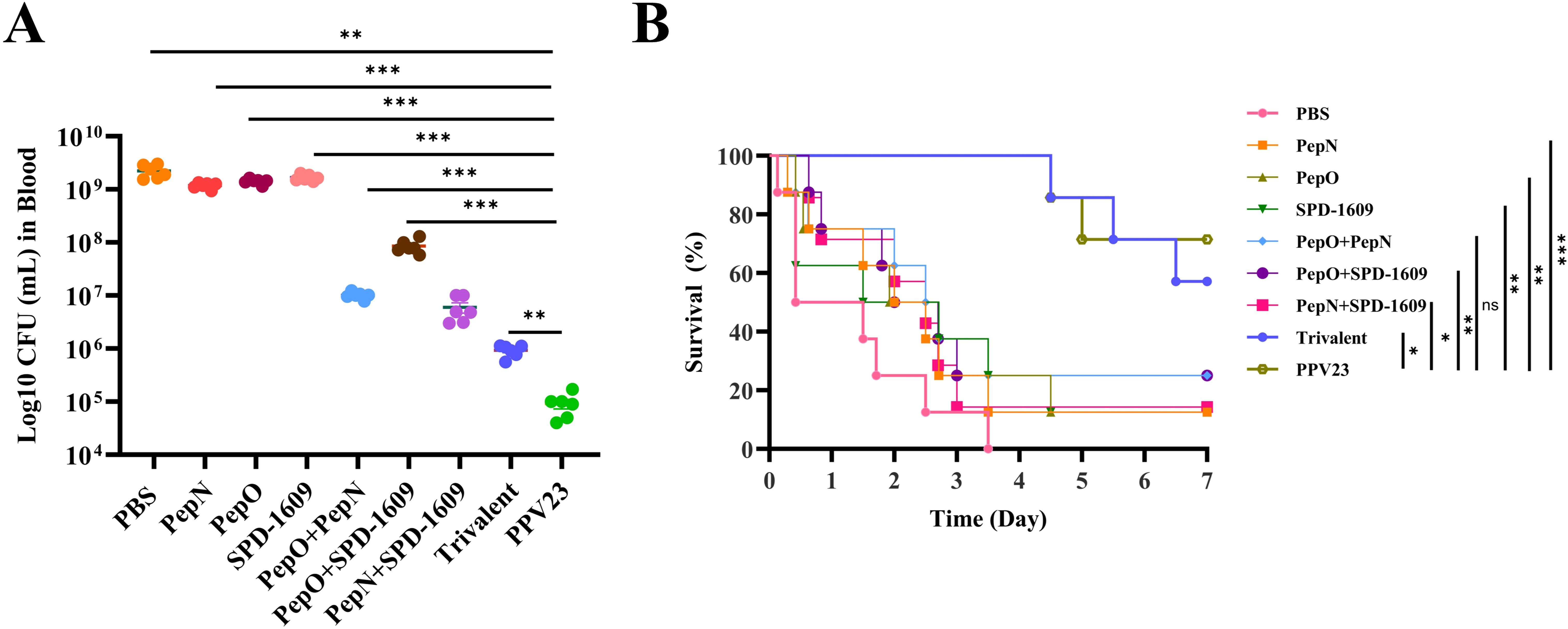 Chart A shows Log10 CFU per mL in blood for various treatments, with significant differences indicated by asterisks. Chart B is a survival curve over seven days, comparing treatment groups: PBS, PepN, PepO, SPD-1609, PepO+PepN, PepO+SPD-1609, PepN+SPD-1609, Trivalent, and PPV23. The Trivalent and PPV23 groups show higher survival rates.