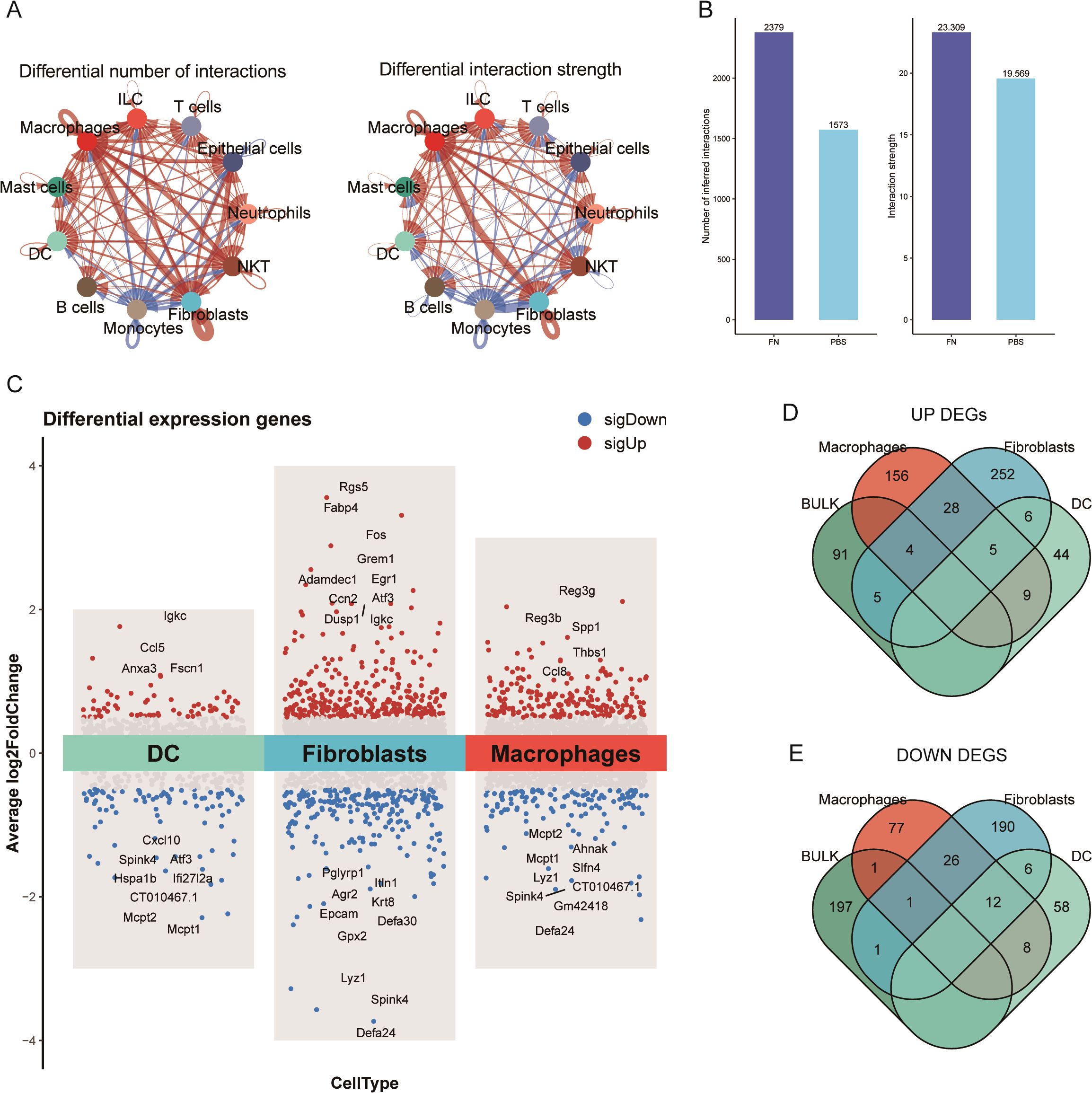 Panel A shows network diagrams of cell interactions based on the number of interactions and interaction strength. Panel B presents bar graphs comparing numbers and strengths of interactions in FN and PH5. Panel C is a dot chart of differential gene expression across DC, fibroblasts, and macrophages, with red indicating upregulation and blue indicating downregulation. Panels D and E show Venn diagrams of upregulated and downregulated differentially expressed genes (DEGs) in macrophages, fibroblasts, DC, and bulk samples.