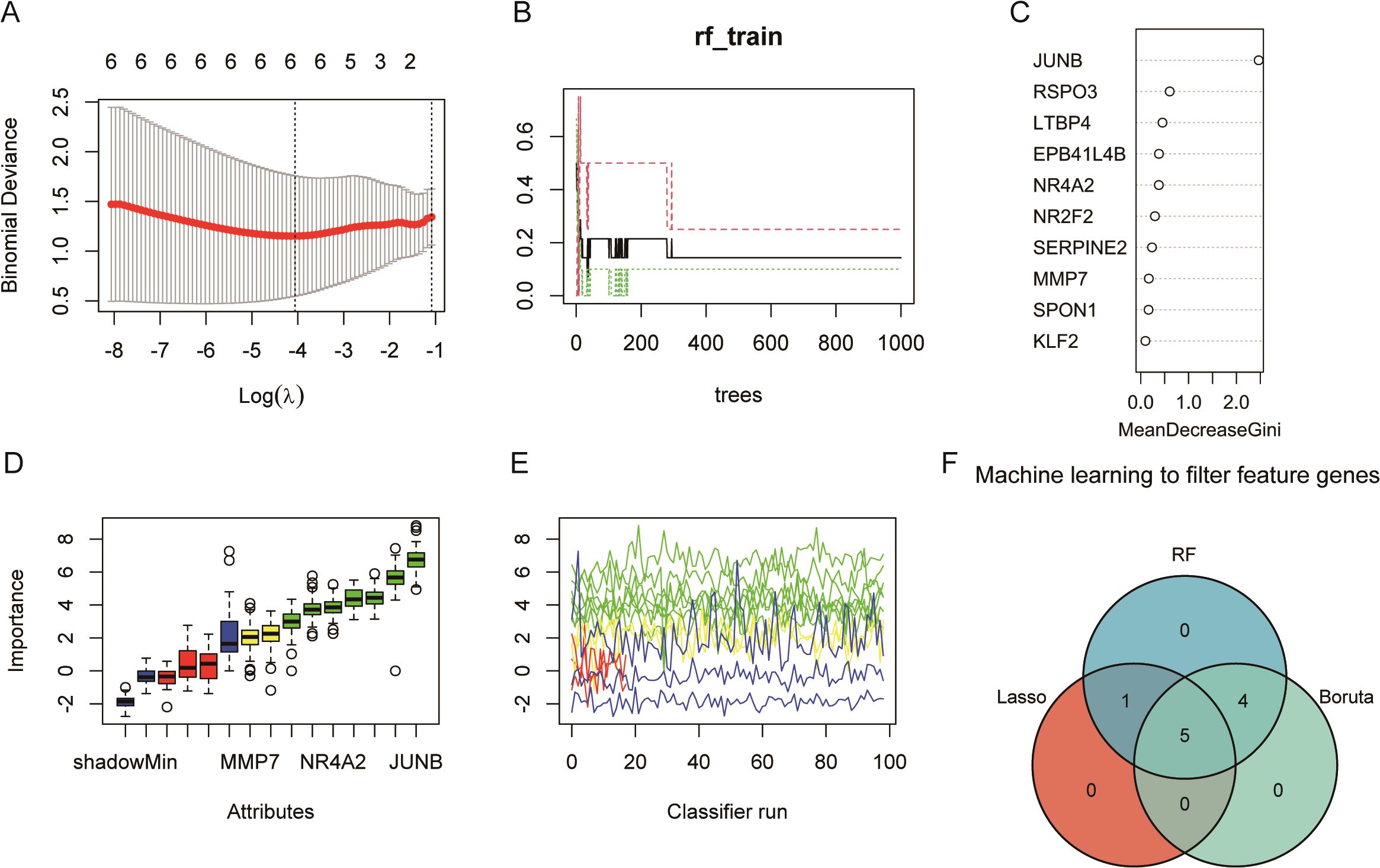 Graphical overview of a machine learning process to filter feature genes: A. Line graph of binomial deviance against Log(λ). B. Line graph showing tree performance over iterations. C. Dot plot displaying genes by MeanDecreaseGini, with selected genes labeled. D. Box plot illustrating importance scores of various attributes. E. Line graph of classifier run results. F. Venn diagram showing gene overlap between RF, Lasso, and Boruta methods, with intersection counts.