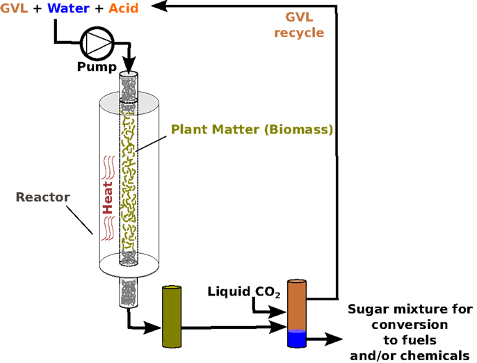 Figure 2 - Illustration of sugar production from plants, using GVL as a solvent.