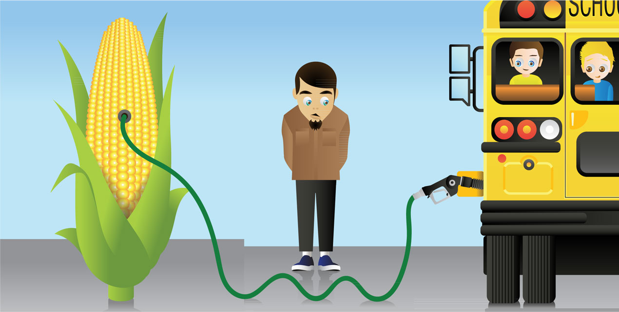 Break it Down! How Scientists are Making Fuel Out of Plants · Frontiers for  Young Minds