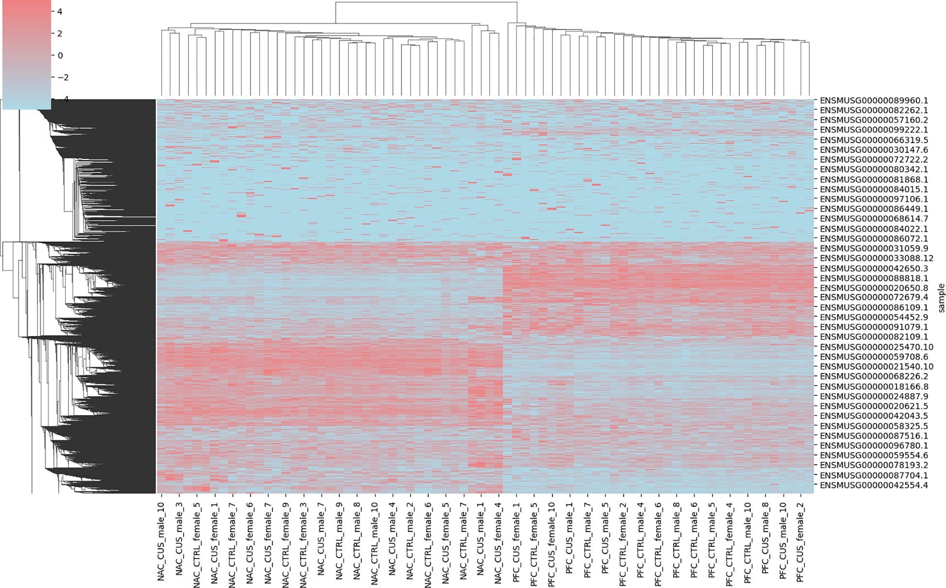Heatmap showing gene expression data, labeled with gene identifiers on the right and sample names at the bottom. Color scale ranges from -4 (blue) to 4 (red), indicating expression levels. Hierarchical clustering dendrograms are displayed on top and left sides.