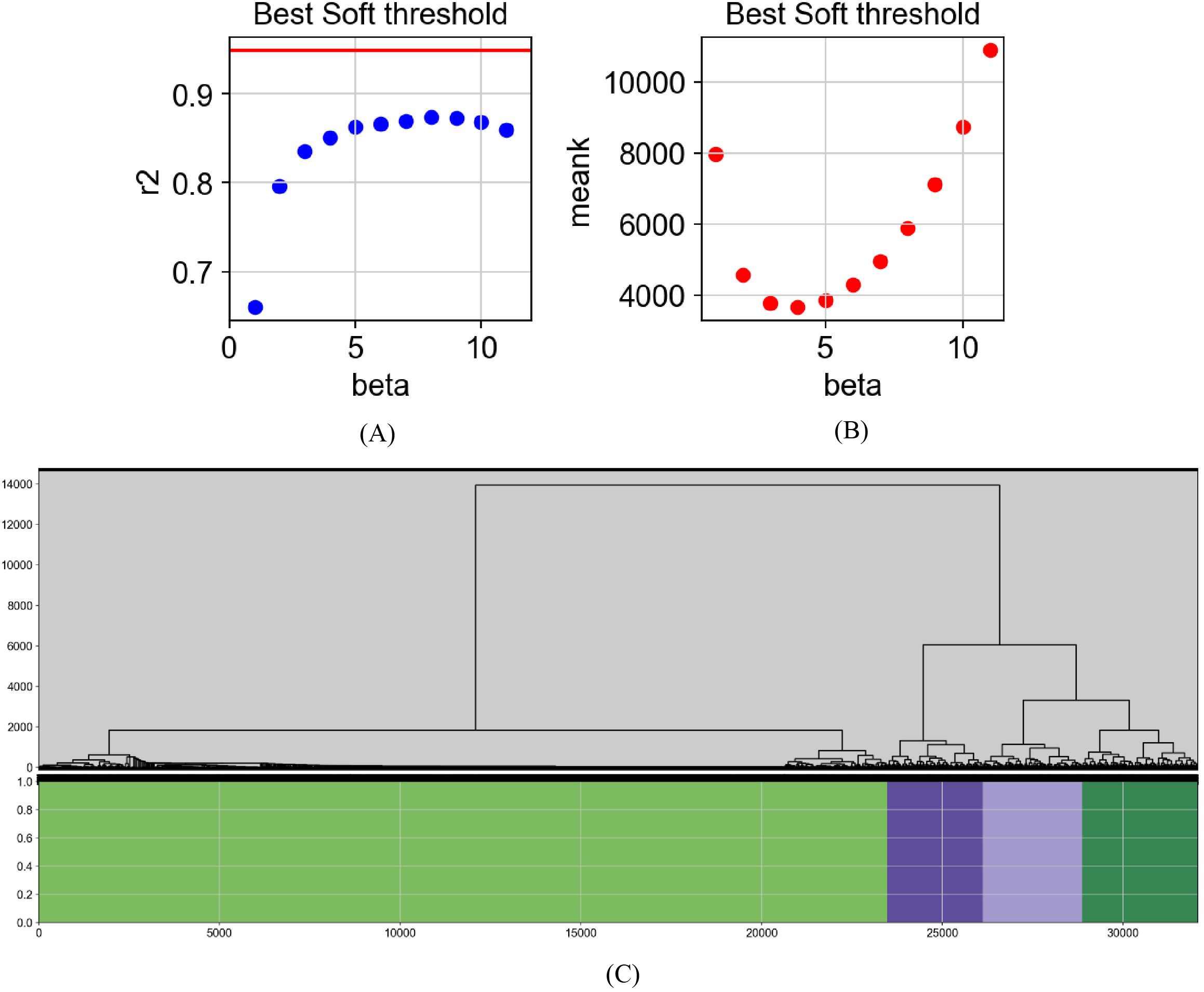 Graphs depict data analysis results. Panel A shows a scatter plot with r2 values versus beta, peaking around eight. Panel B depicts a scatter plot with mean k versus beta, showing a U-shape. Panel C presents a dendrogram with hierarchical clustering, featuring color-coded heatmap segments below.