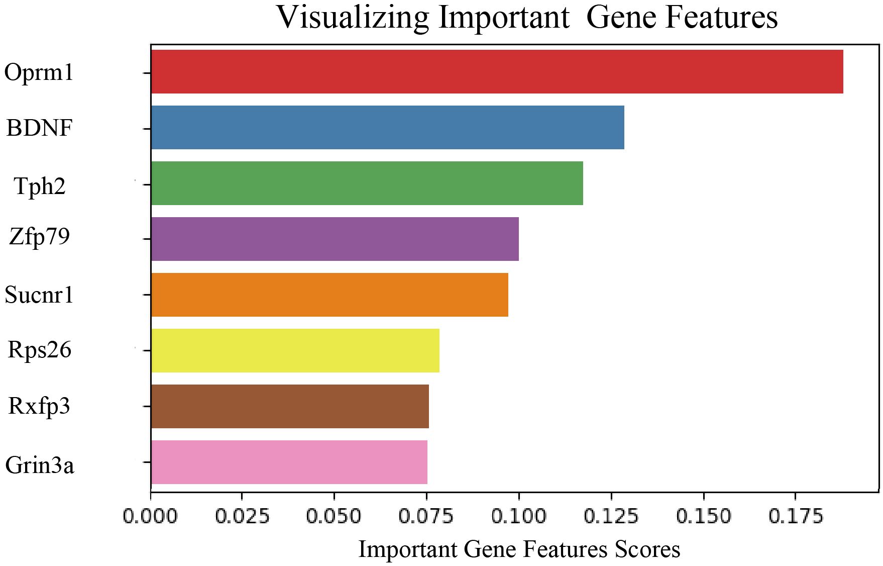 Bar chart titled “Visualizing Important Gene Features” showing various genes on the vertical axis and their importance scores on the horizontal axis. The genes include Oprm1, BDNF, Tph2, Zfp79, Sucnr1, Rps26, Rxfp3, and Grin3a. Oprm1 has the highest importance score.