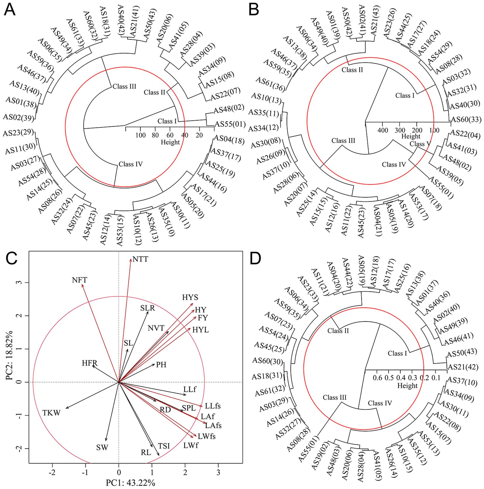 Four circular dendrograms and a biplot for principal component analysis. A: Dendrogram with four classes labeled I to IV, highlighting relationships among AS samples. B: Similar dendrogram structure with different sample clustering. C: Biplot visualizing components PC1 and PC2, with vectors representing different traits like TKW, NFT, and HYS. D: Another dendrogram, showing variation in class structures and heights. Each dendrogram includes numerical sample identifiers.