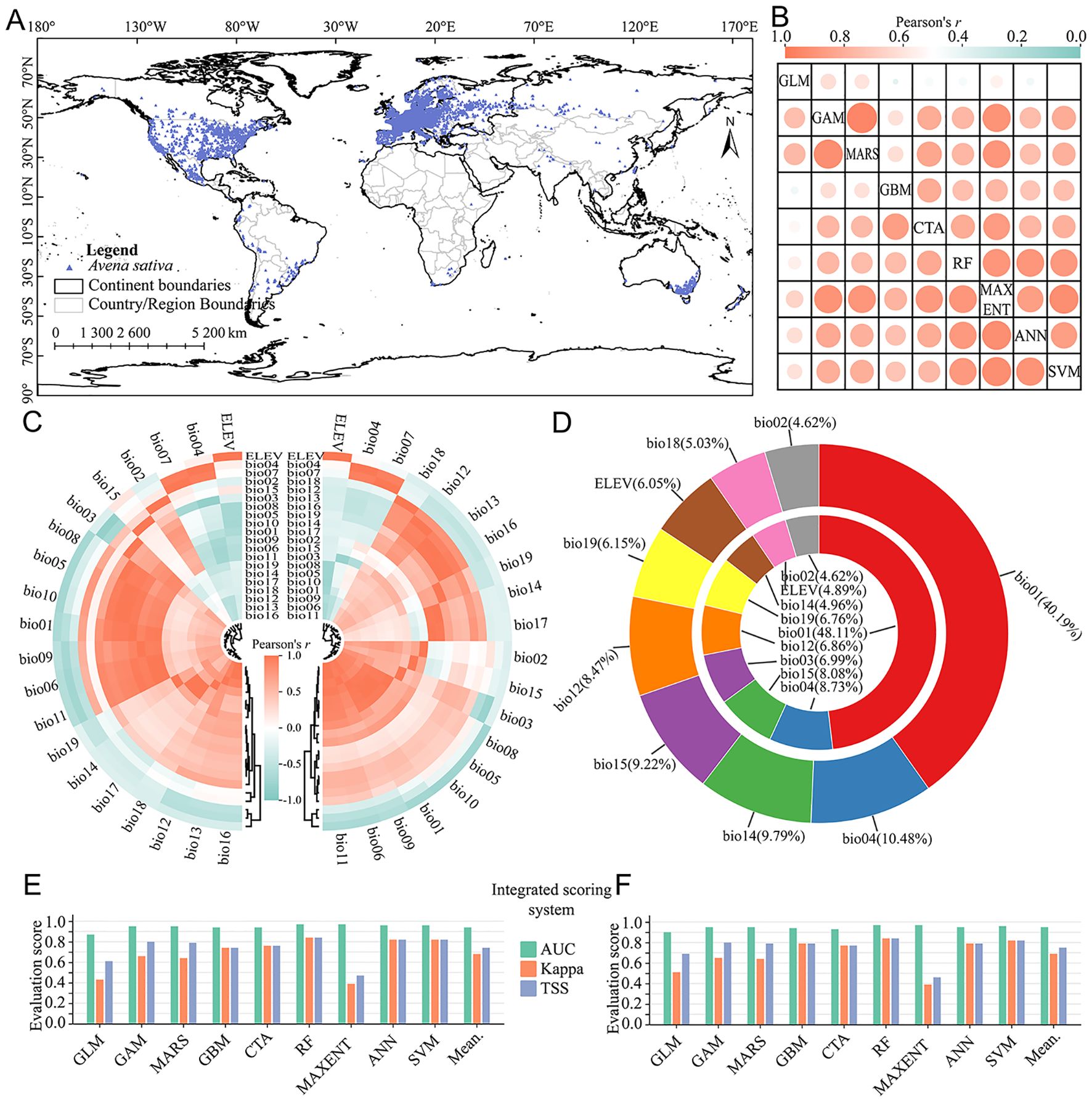 Composite image with six parts: A. World map showing distribution of Avena sativa in blue. B. Heatmap displaying Pearson's correlation coefficients among different models. C. Circular heatmap illustrating variable contributions in different models. D. Donut chart showing percentage contributions of various environmental factors. E. Bar graph comparing evaluation scores (AUC, Kappa, TSS) for different models. F. Another bar graph illustrating evaluation scores for models using an integrated scoring system.