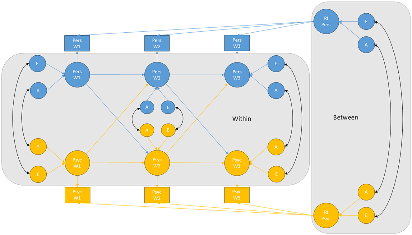 Diagram illustrating relationships between “Within” and “Between” groups. Circles labeled “E”, “A”, “Pers”, and “Psyc” are interconnected with arrows. Boxes labeled “Pers W1”, “Pers W2”, “Pers W3”, and “RI Pers” are included, with directional arrows showing interactions.