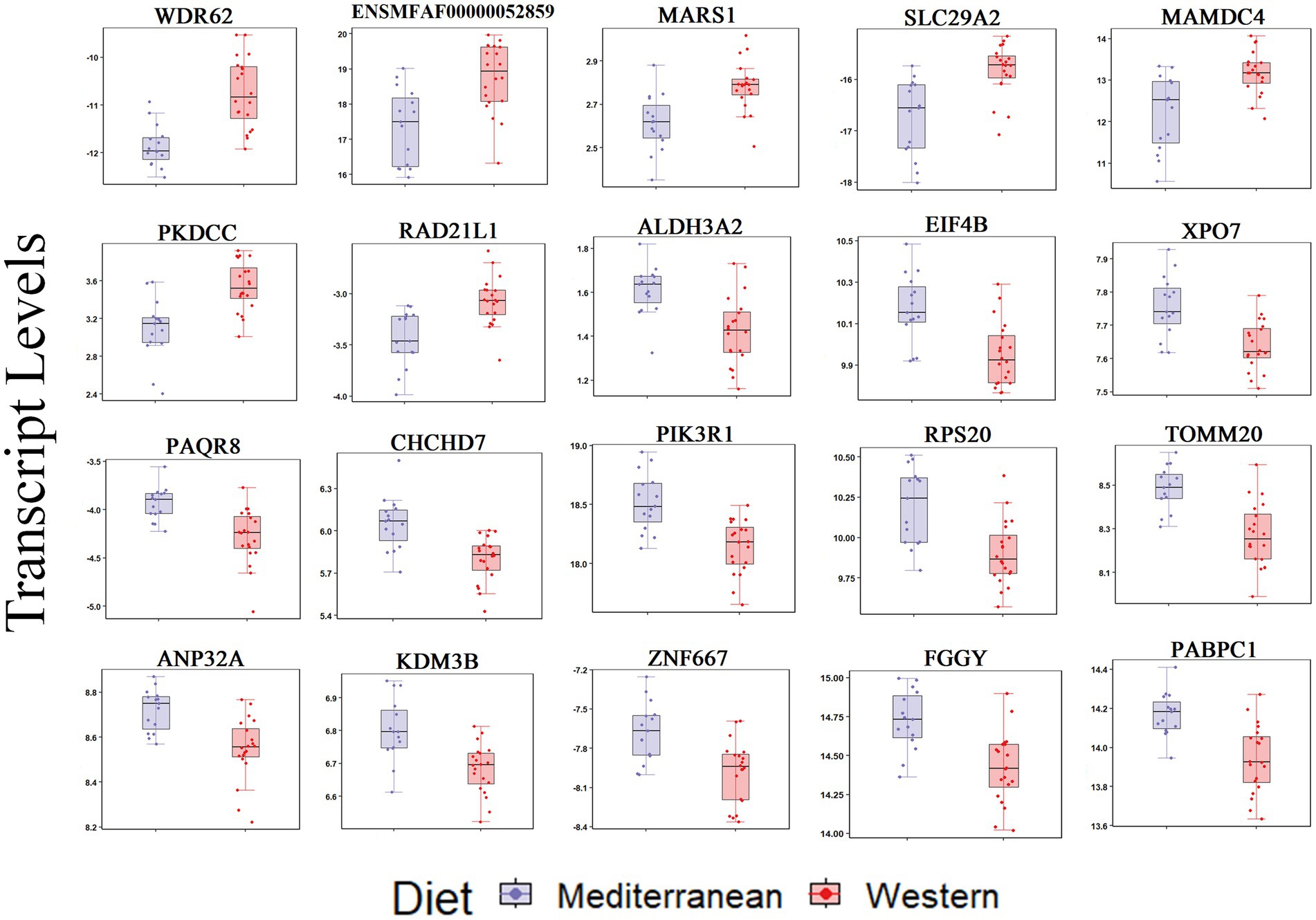 Box plots display transcript levels of various genes comparing Mediterranean and Western diets. Each plot shows data distribution with blue for Mediterranean and red for Western. Gene names are labeled above each plot. Transcript levels appear on the vertical axis.